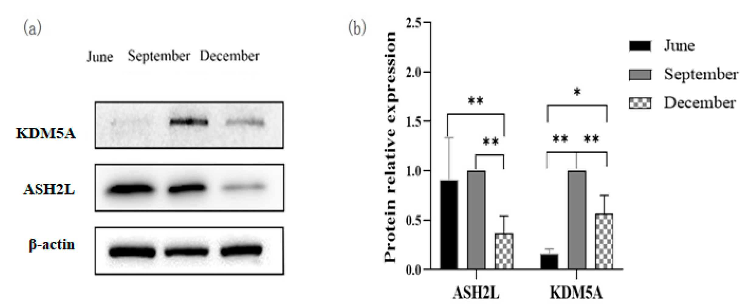 Biology 12 00720 g006 Biology 12 00720 g006