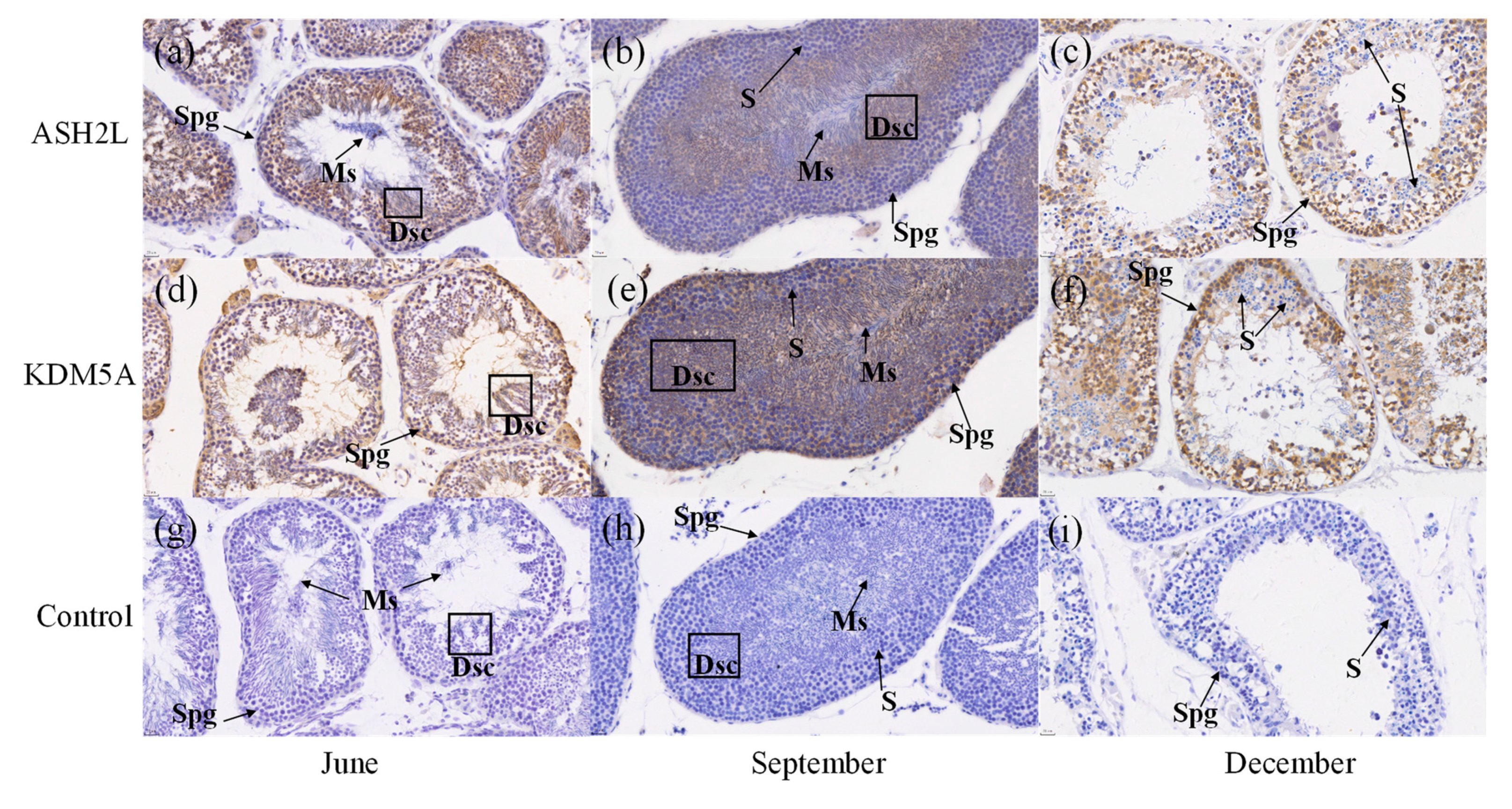 Biology 12 00720 g007 Biology 12 00720 g007