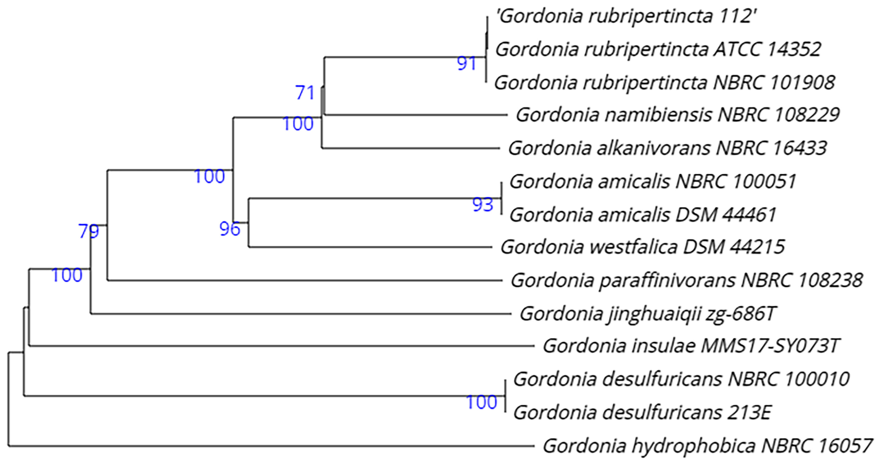 Biology 12 00721 g001 Biology 12 00721 g001