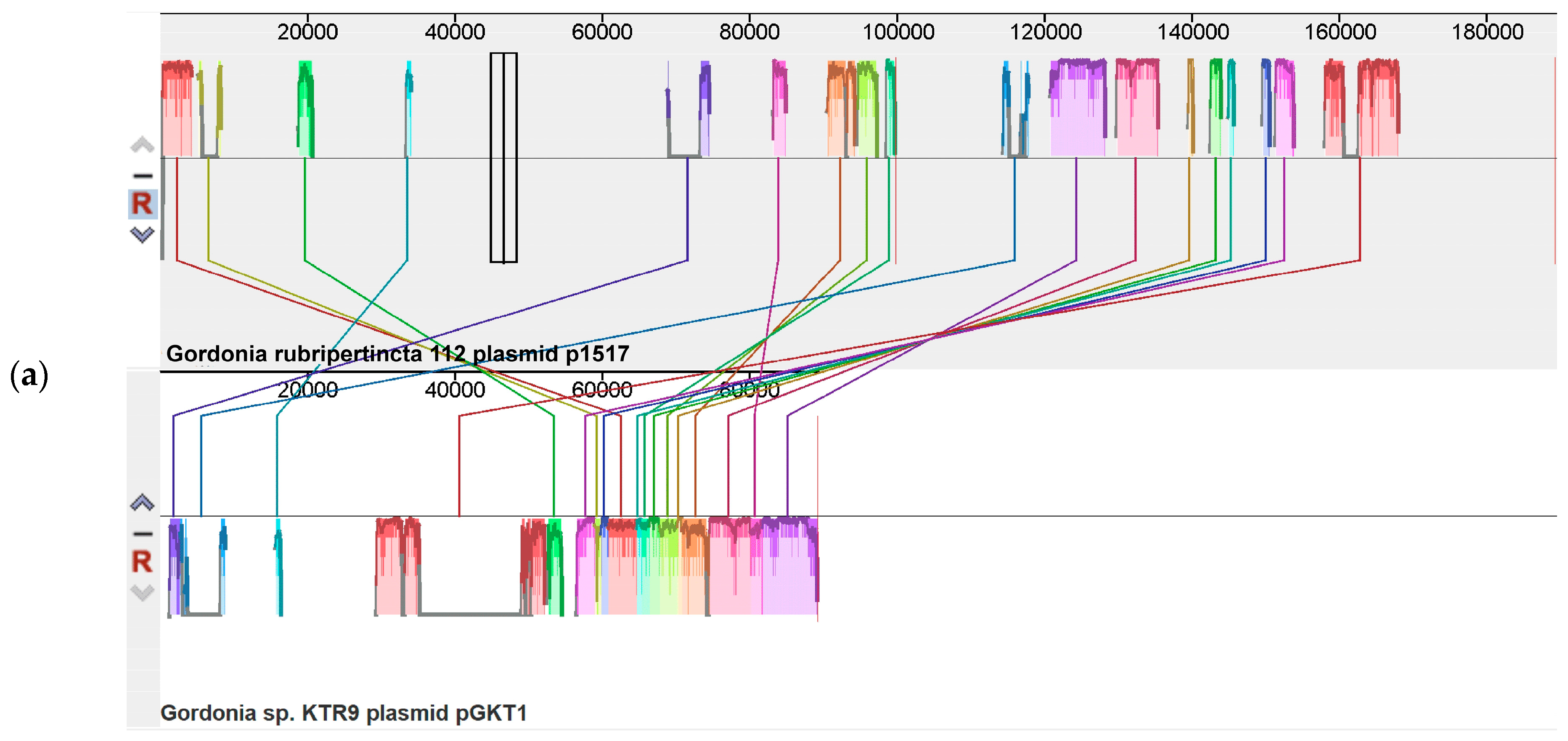 Biology 12 00721 g002a Biology 12 00721 g002a
