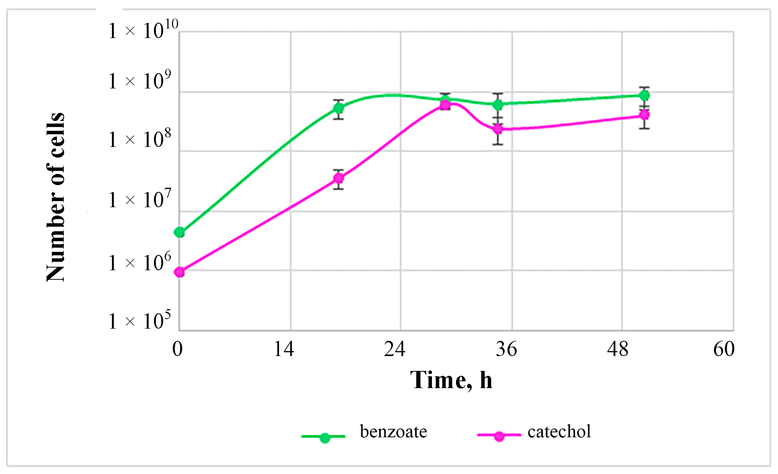 Biology 12 00721 g005 Biology 12 00721 g005