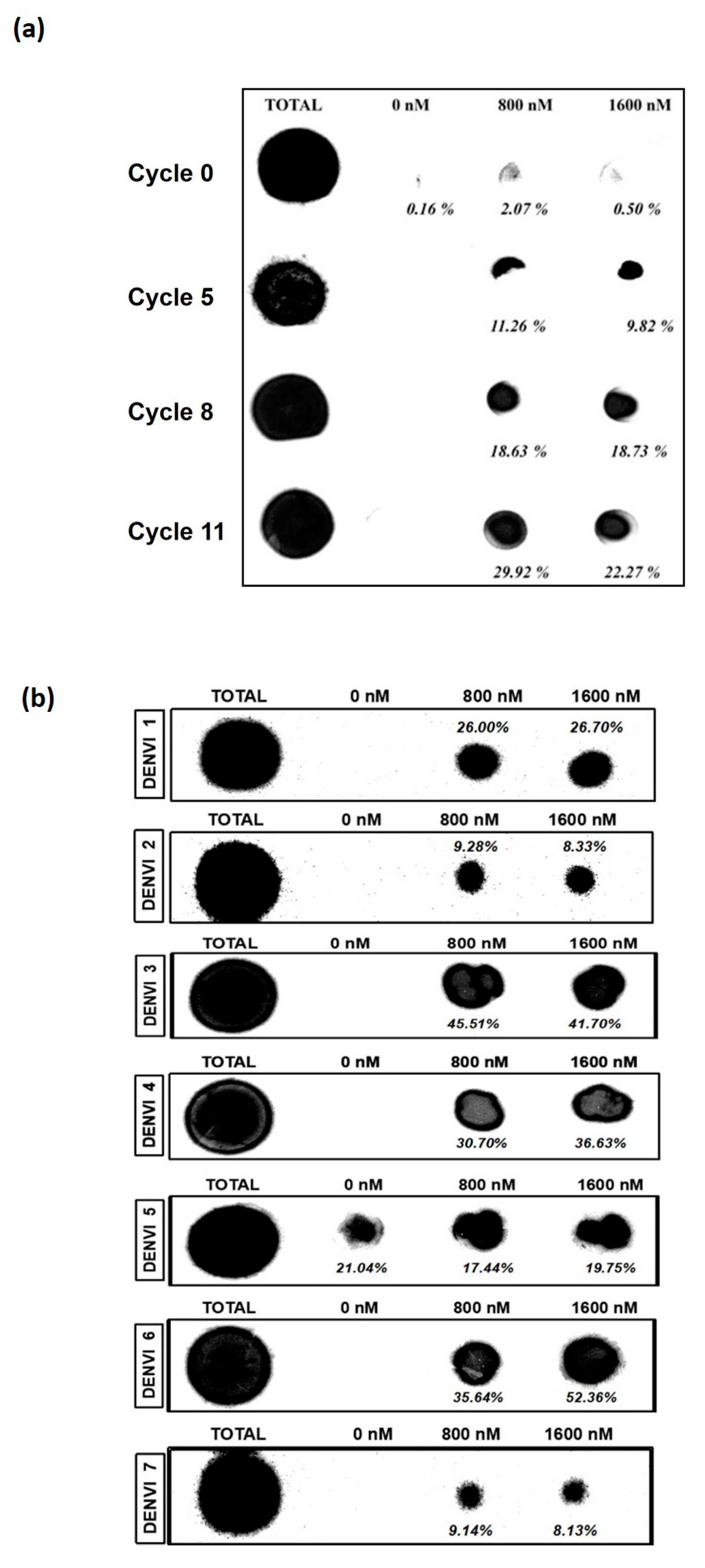 Biology 12 00722 g001 Biology 12 00722 g001