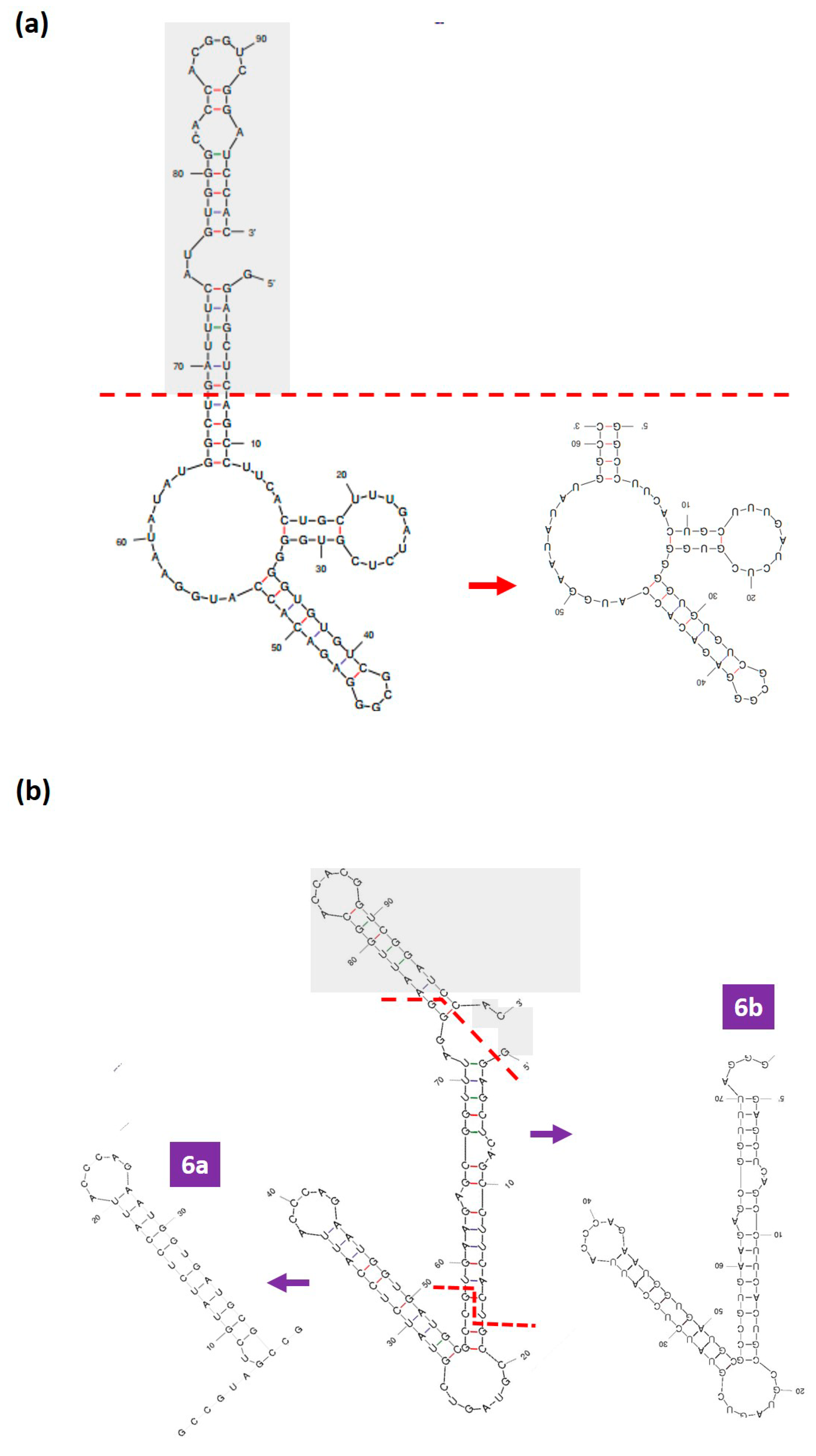 Biology 12 00722 g003 Biology 12 00722 g003