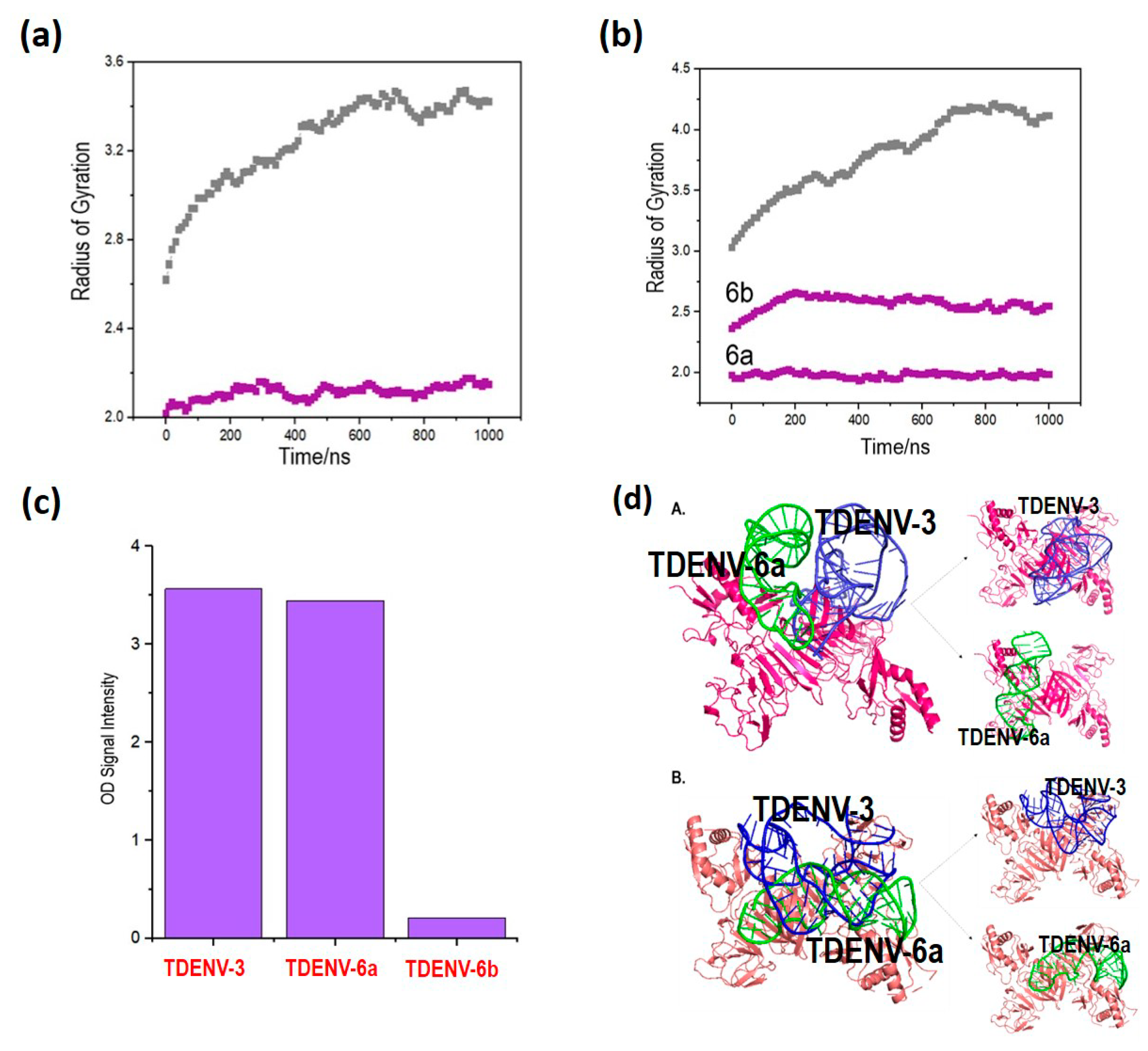 Biology 12 00722 g004 Biology 12 00722 g004