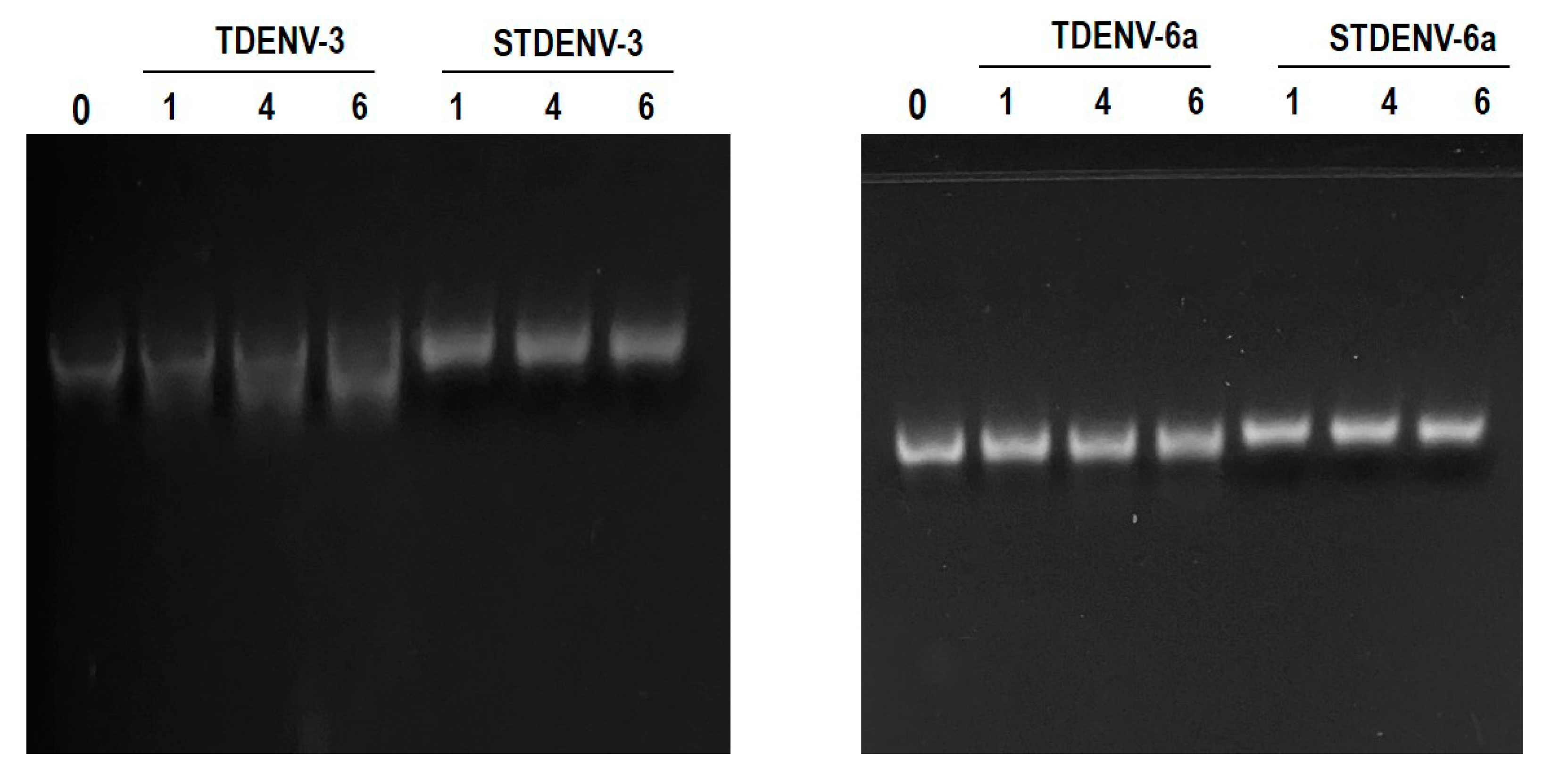 Biology 12 00722 g008 Biology 12 00722 g008