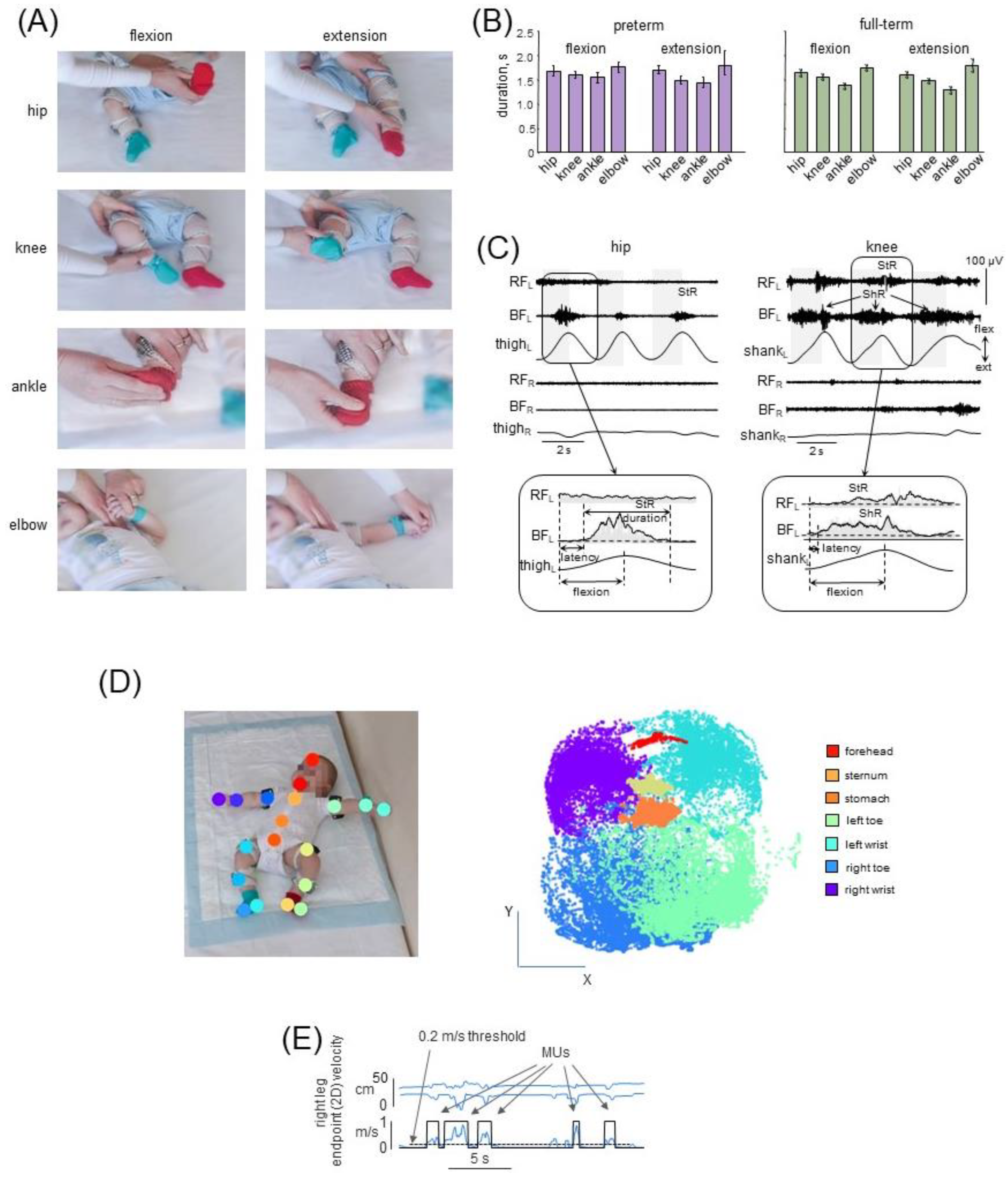 Biology 12 00724 g001 Biology 12 00724 g001