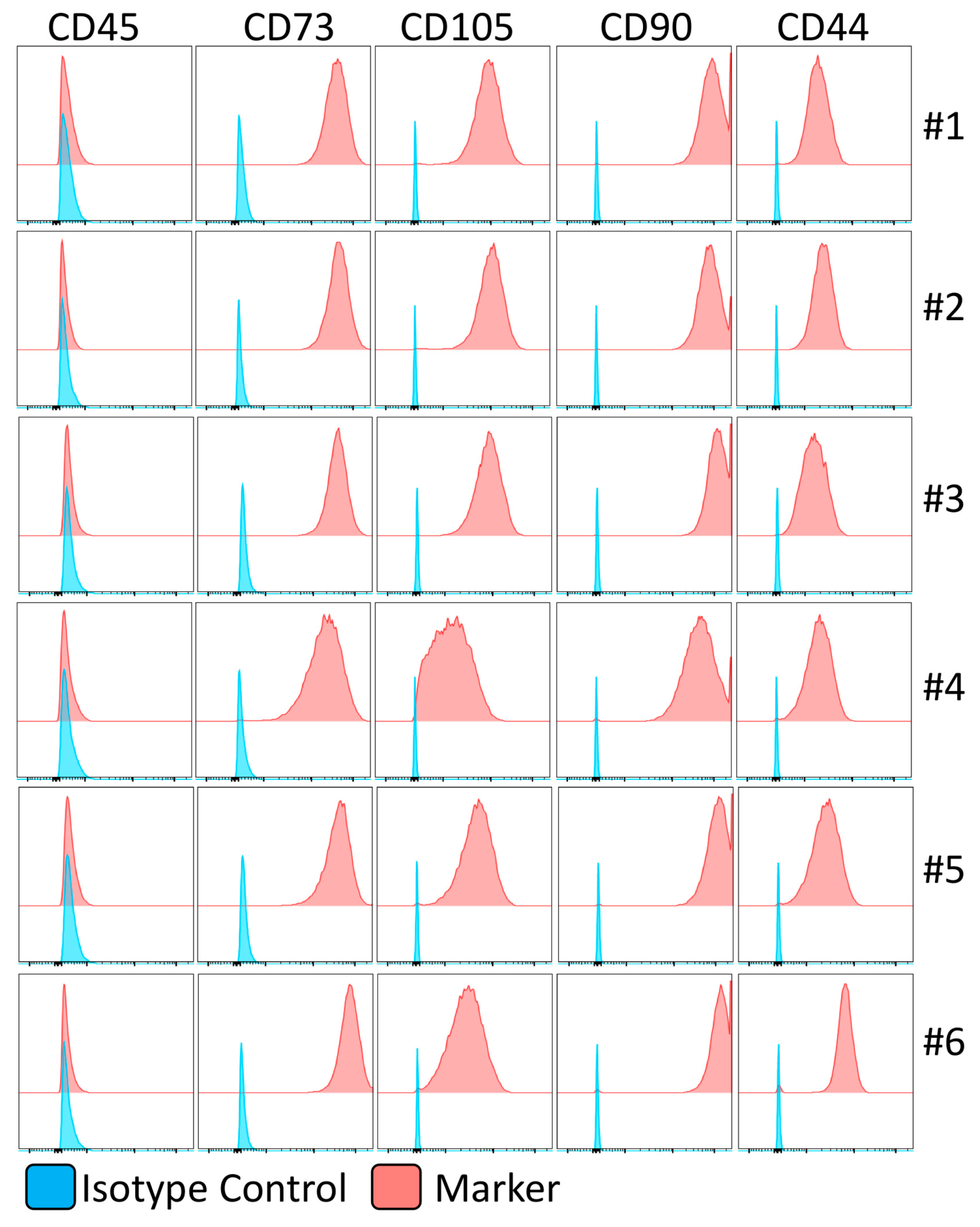 Biology 12 00725 g002 Biology 12 00725 g002