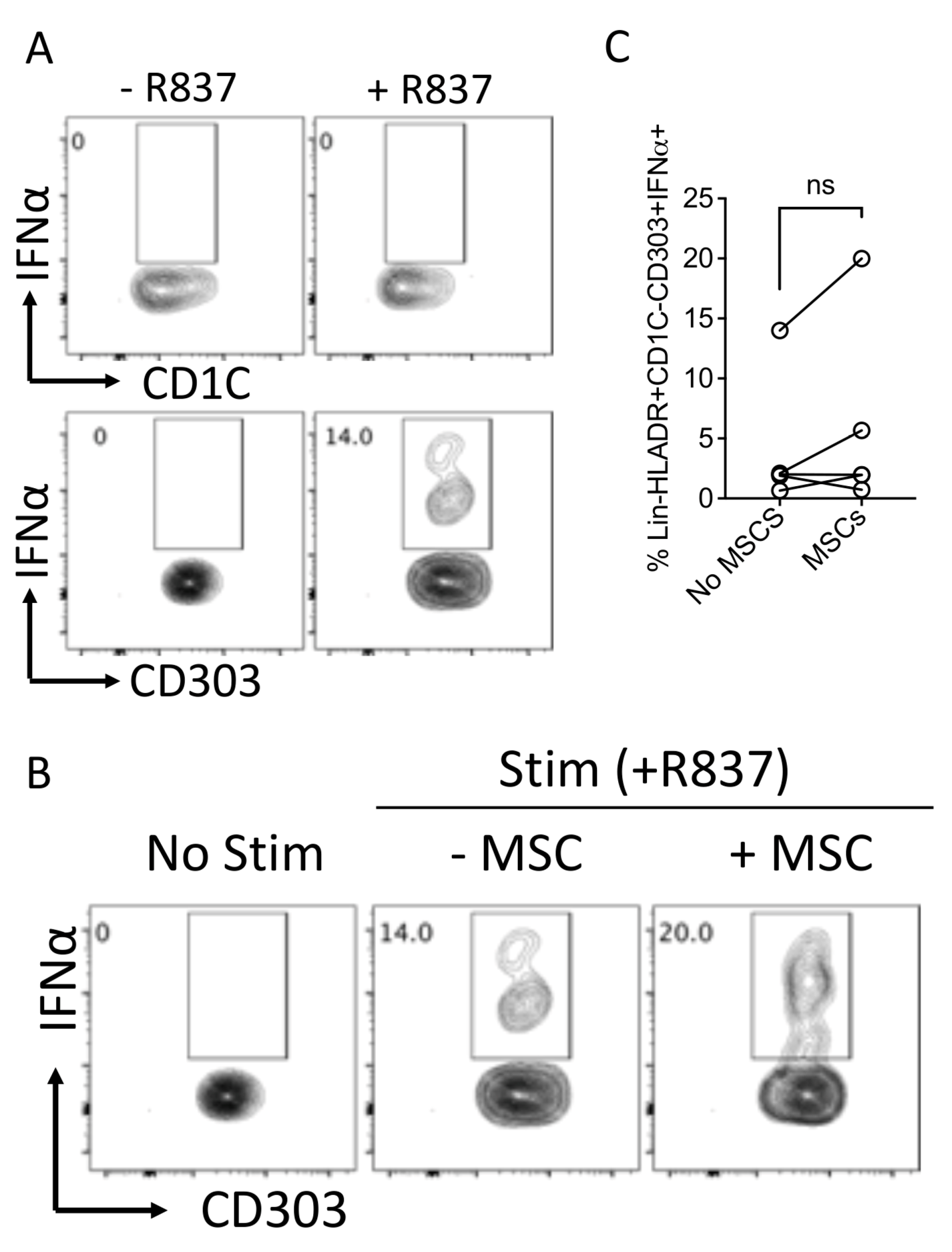 Biology 12 00725 g007 Biology 12 00725 g007