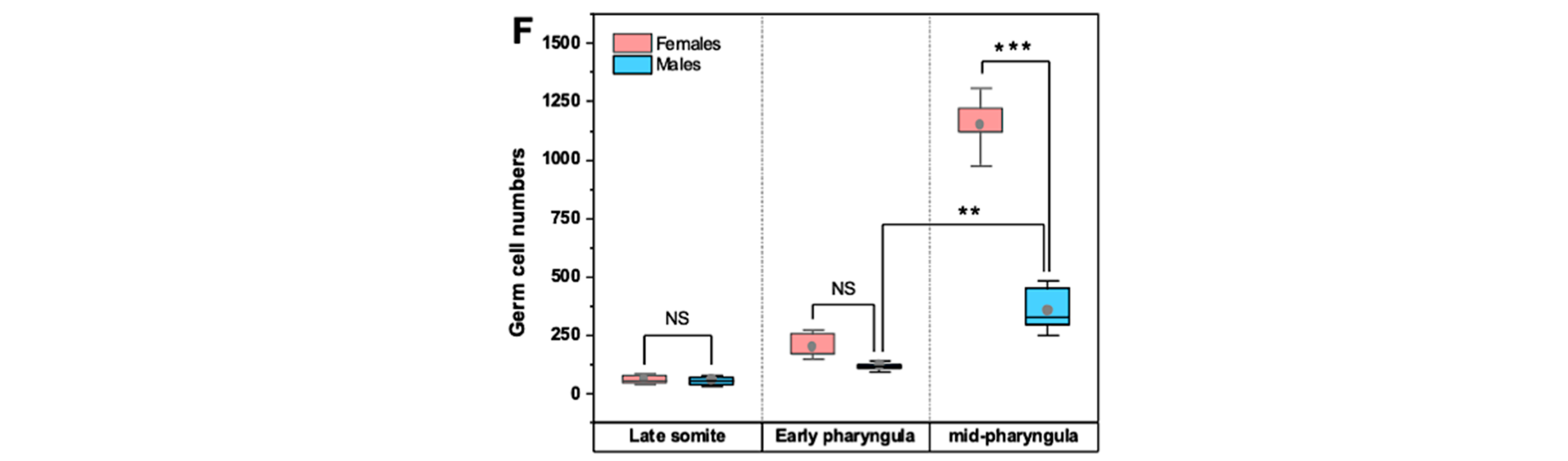 Biology 12 00731 g002b Biology 12 00731 g002b