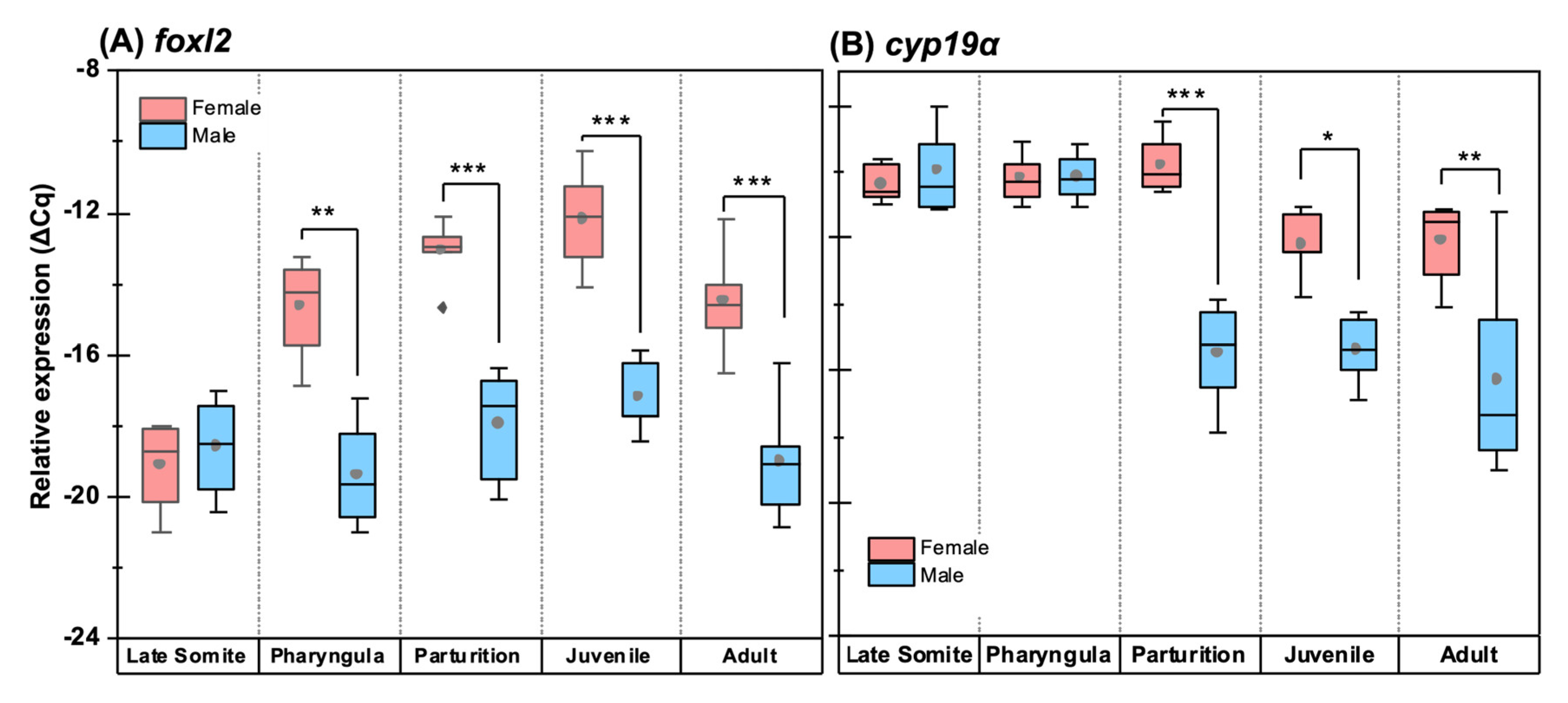 Biology 12 00731 g010a Biology 12 00731 g010a