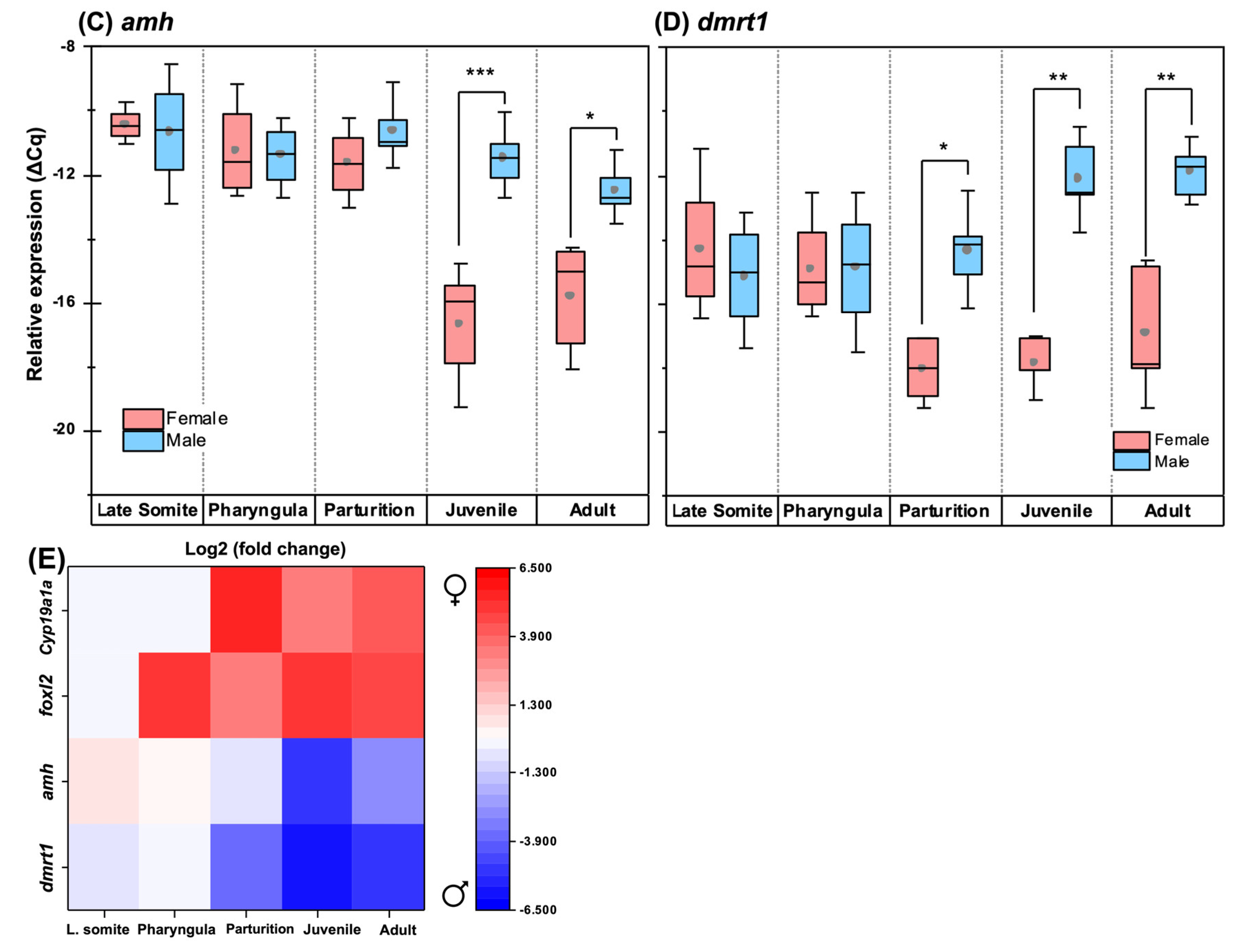 Biology 12 00731 g010b Biology 12 00731 g010b