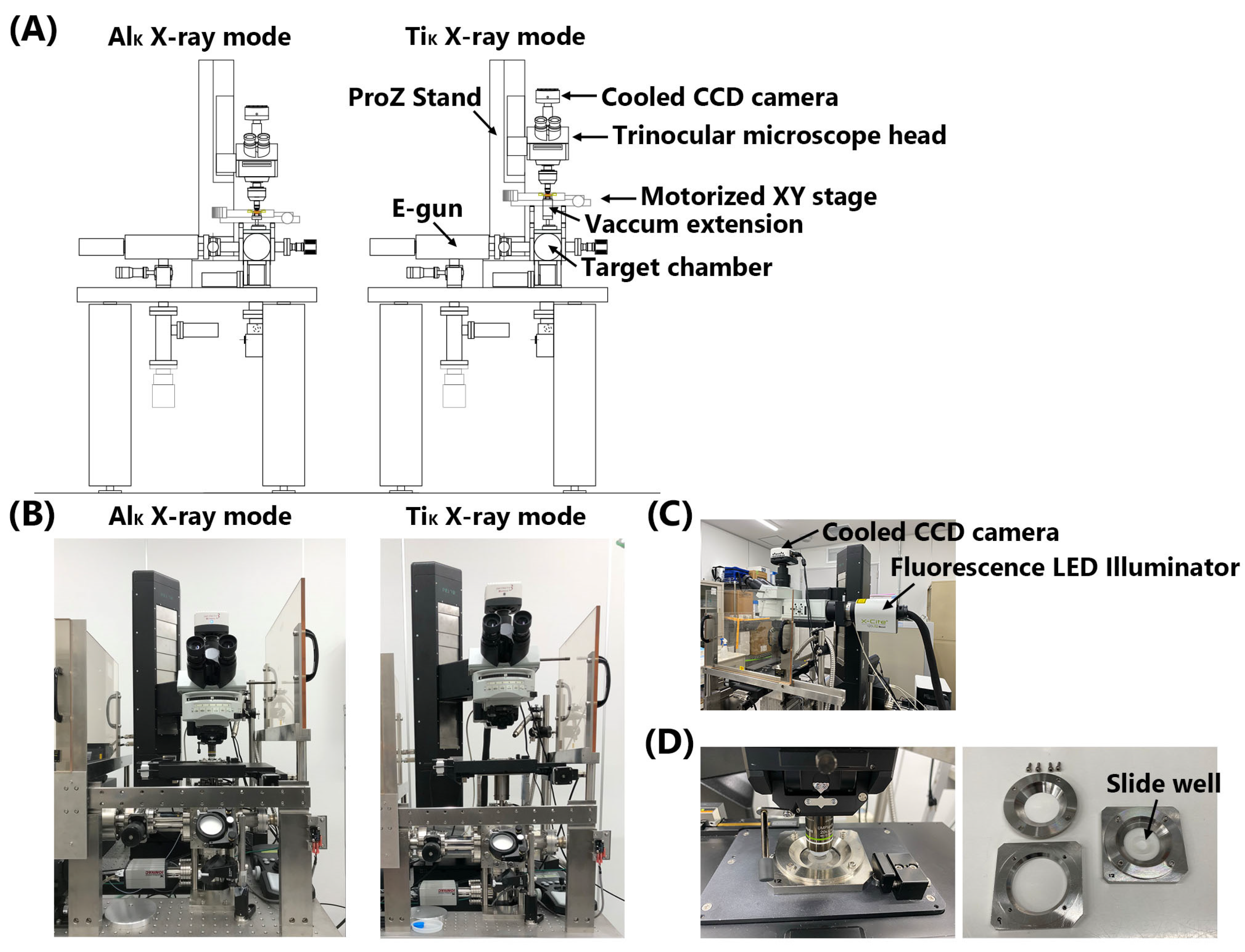 Biology 12 00734 g001 Biology 12 00734 g001