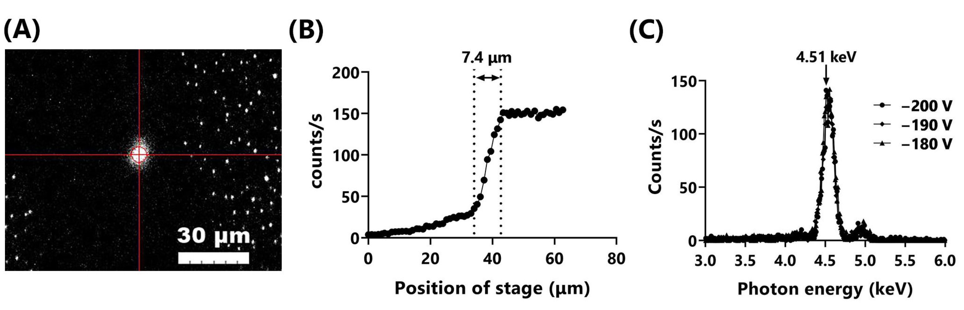 Biology 12 00734 g002 Biology 12 00734 g002