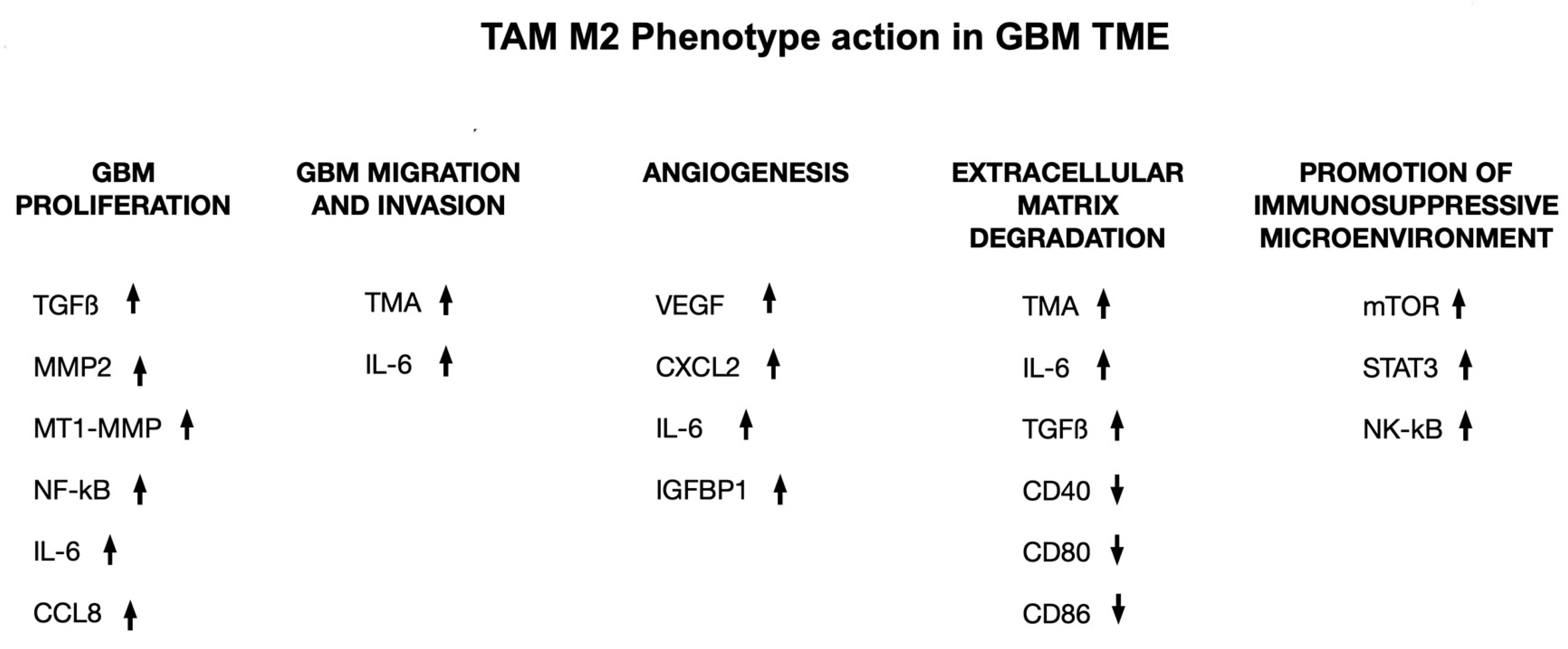 Biology 12 00736 g004 Biology 12 00736 g004