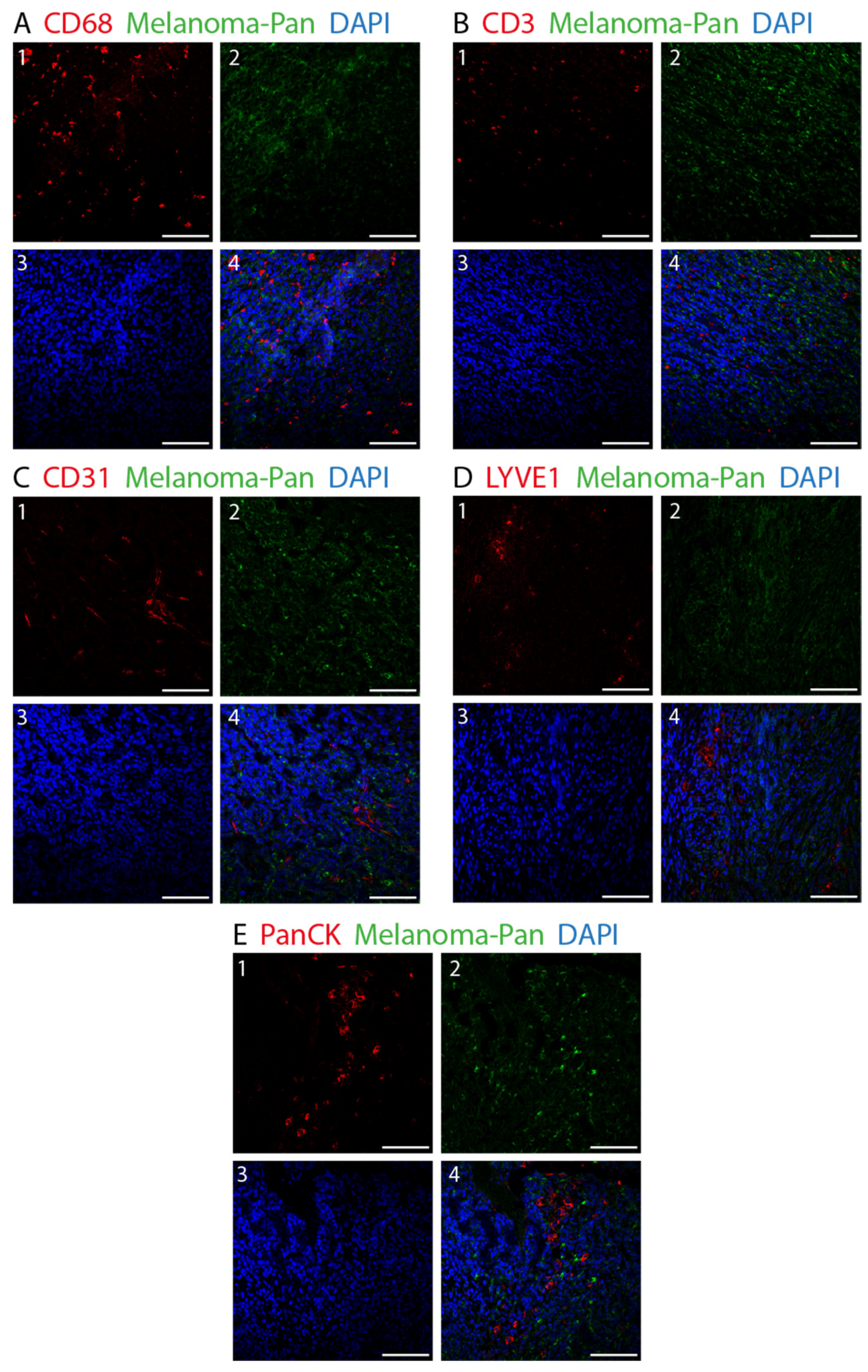 Biology 12 00738 g002 Biology 12 00738 g002