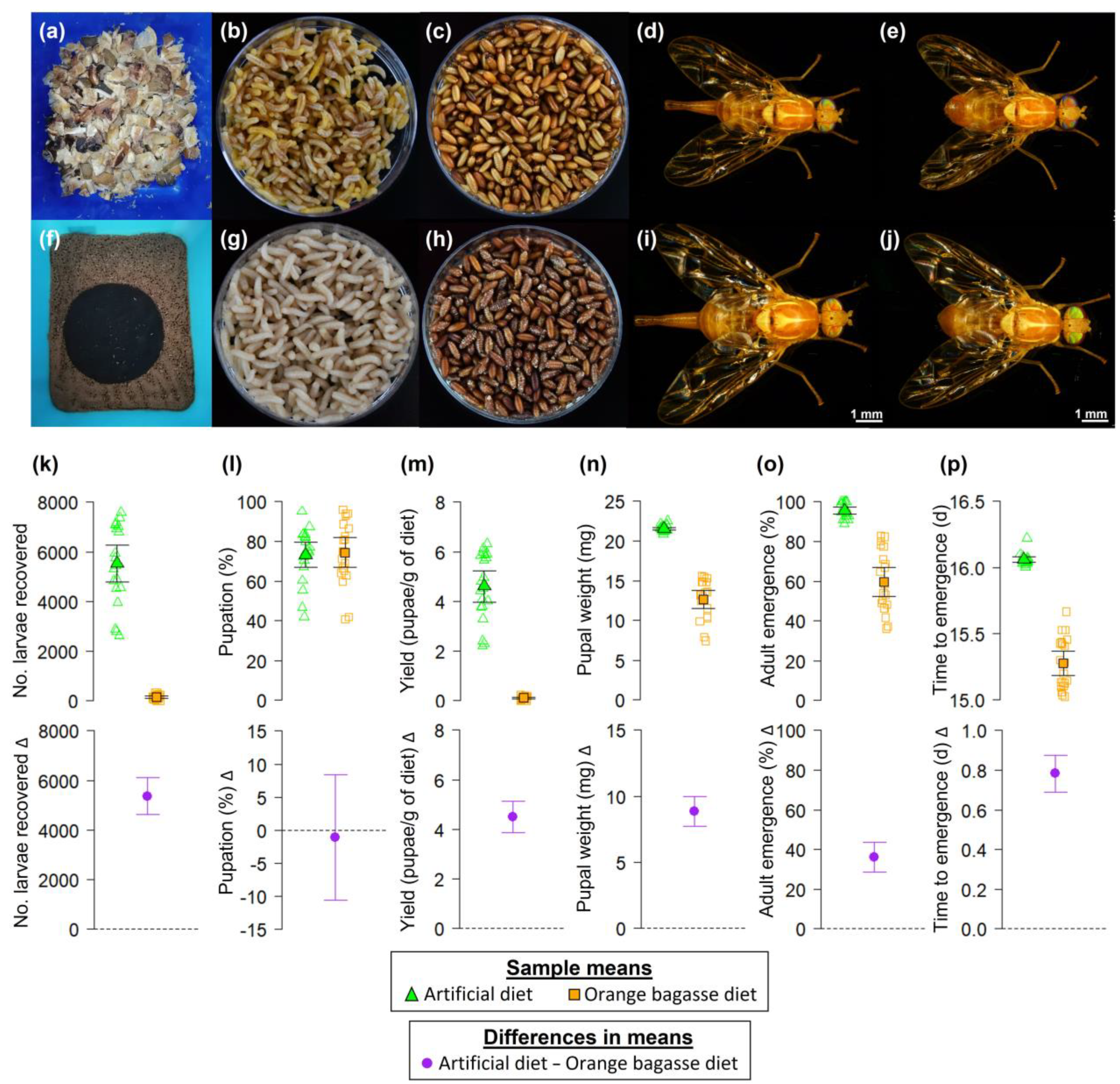 Biology 12 00739 g003