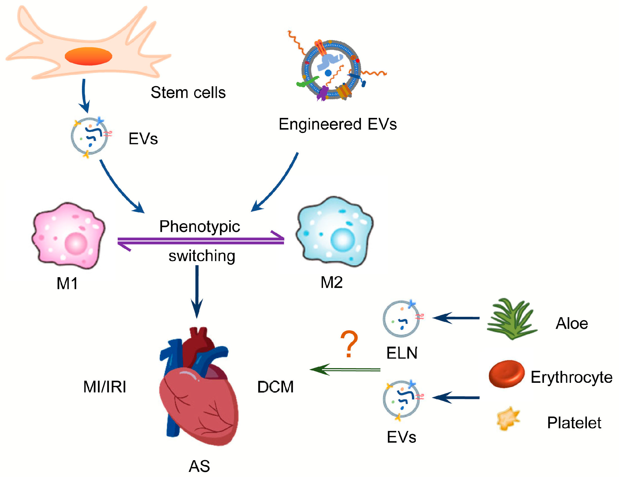 Biology 12 00745 g003 Biology 12 00745 g003