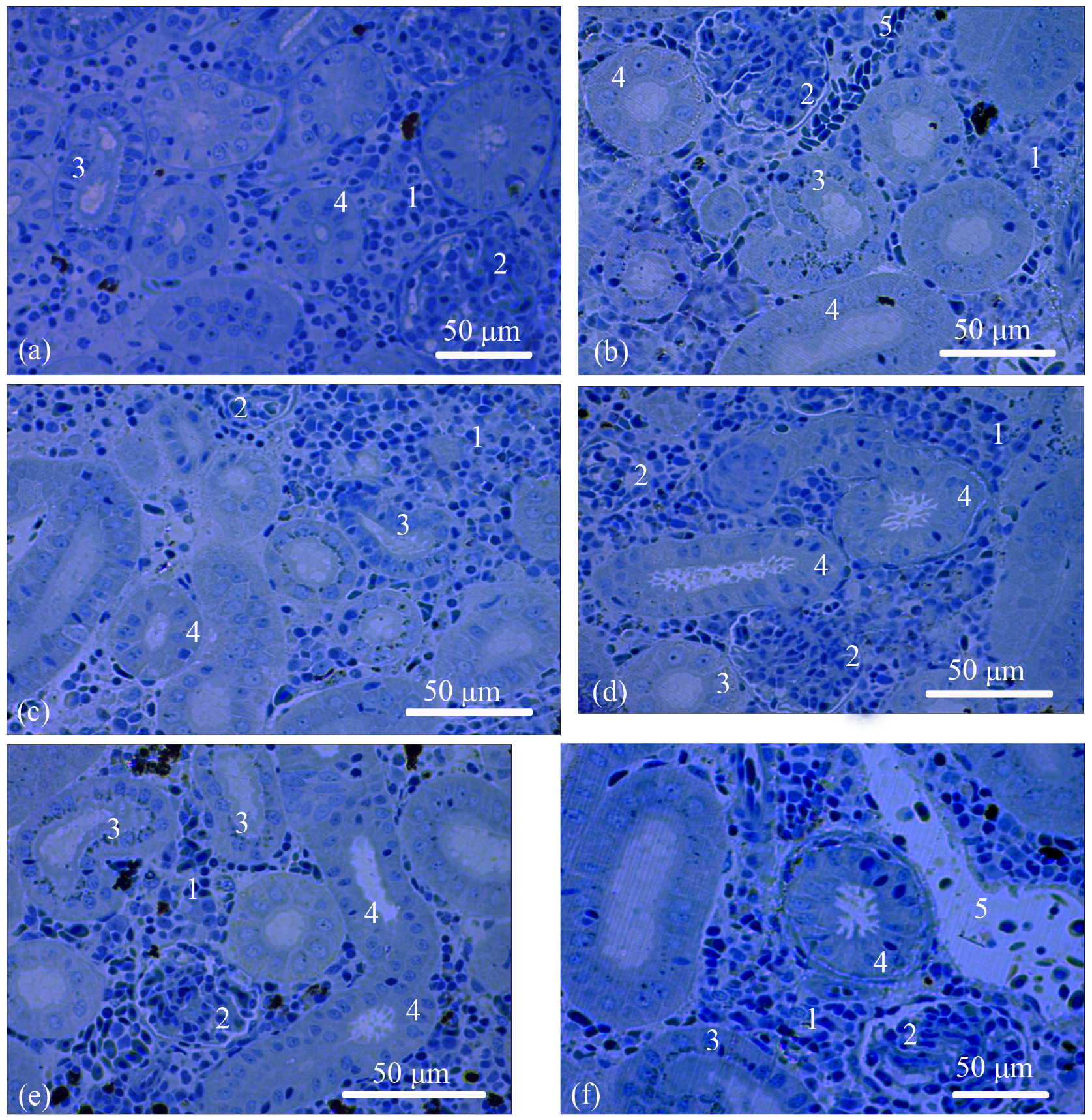 Biology 12 00750 g002 Biology 12 00750 g002