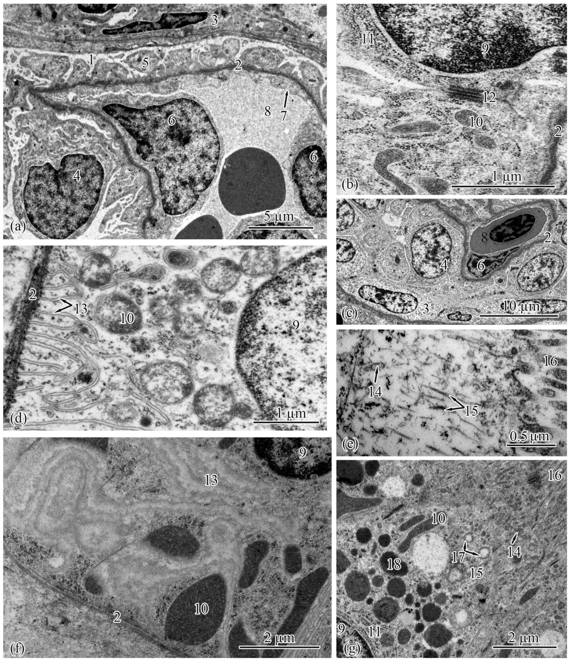 Biology 12 00750 g003 Biology 12 00750 g003