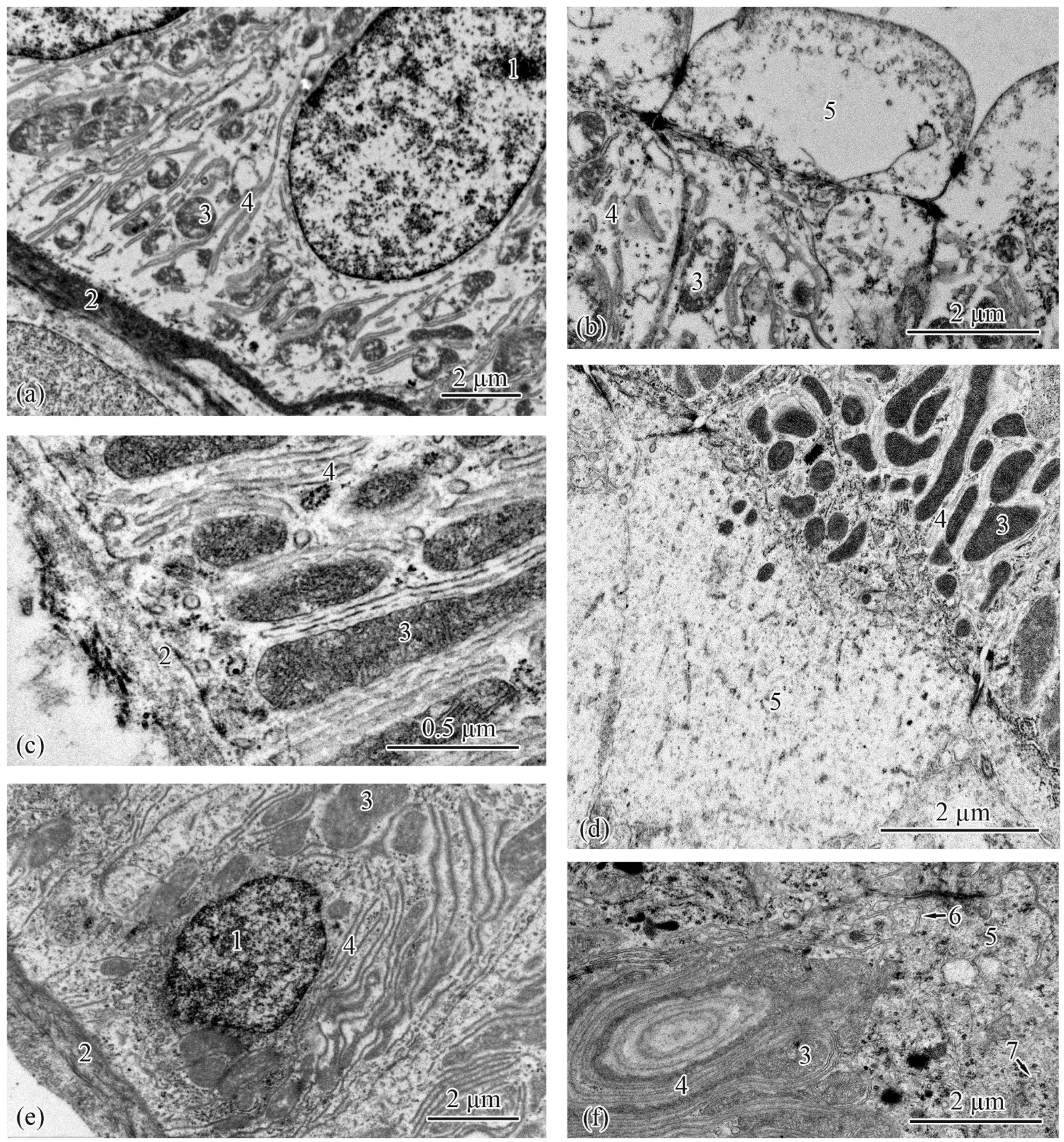 Biology 12 00750 g005 Biology 12 00750 g005