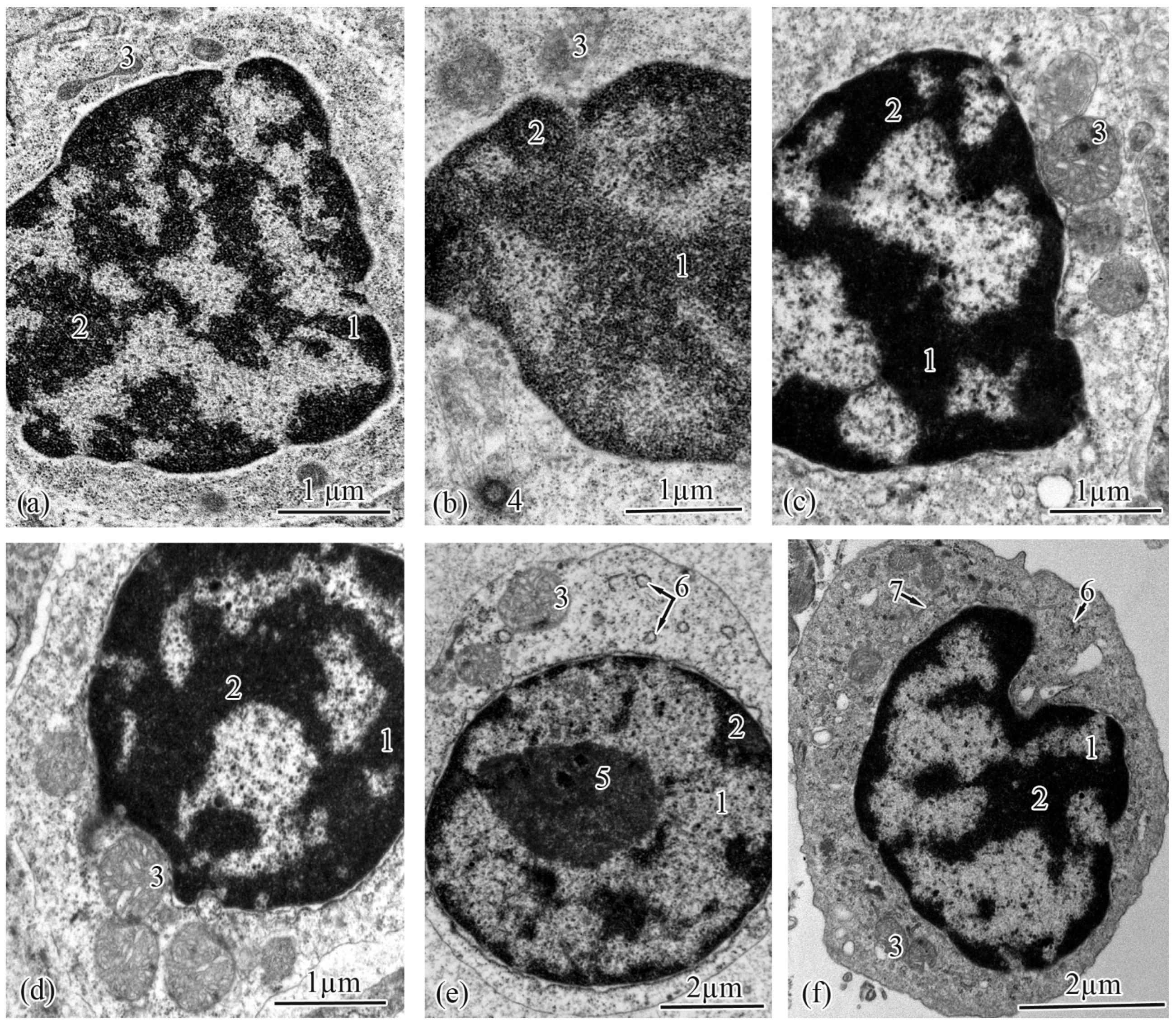 Biology 12 00750 g006 Biology 12 00750 g006