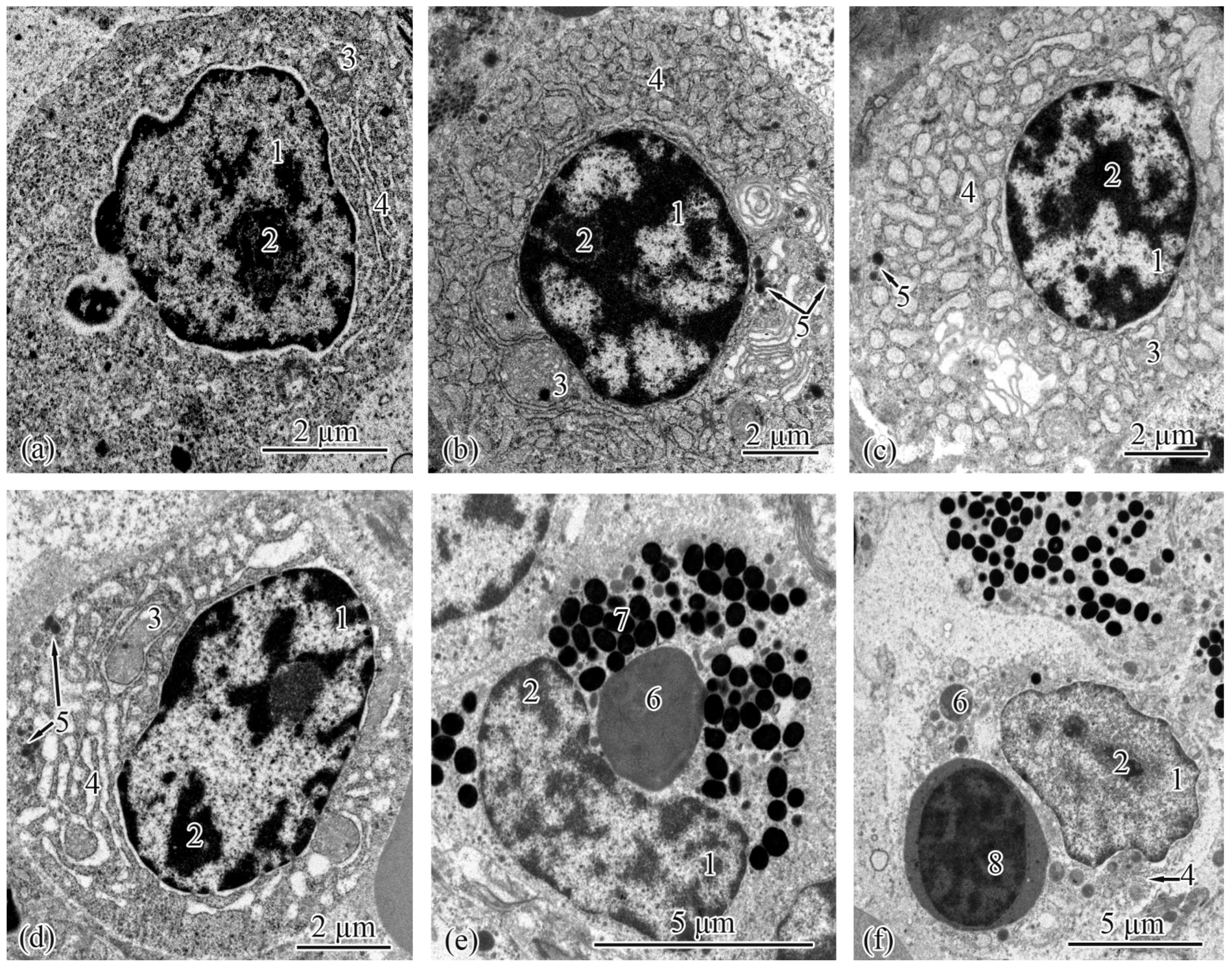 Biology 12 00750 g007 Biology 12 00750 g007