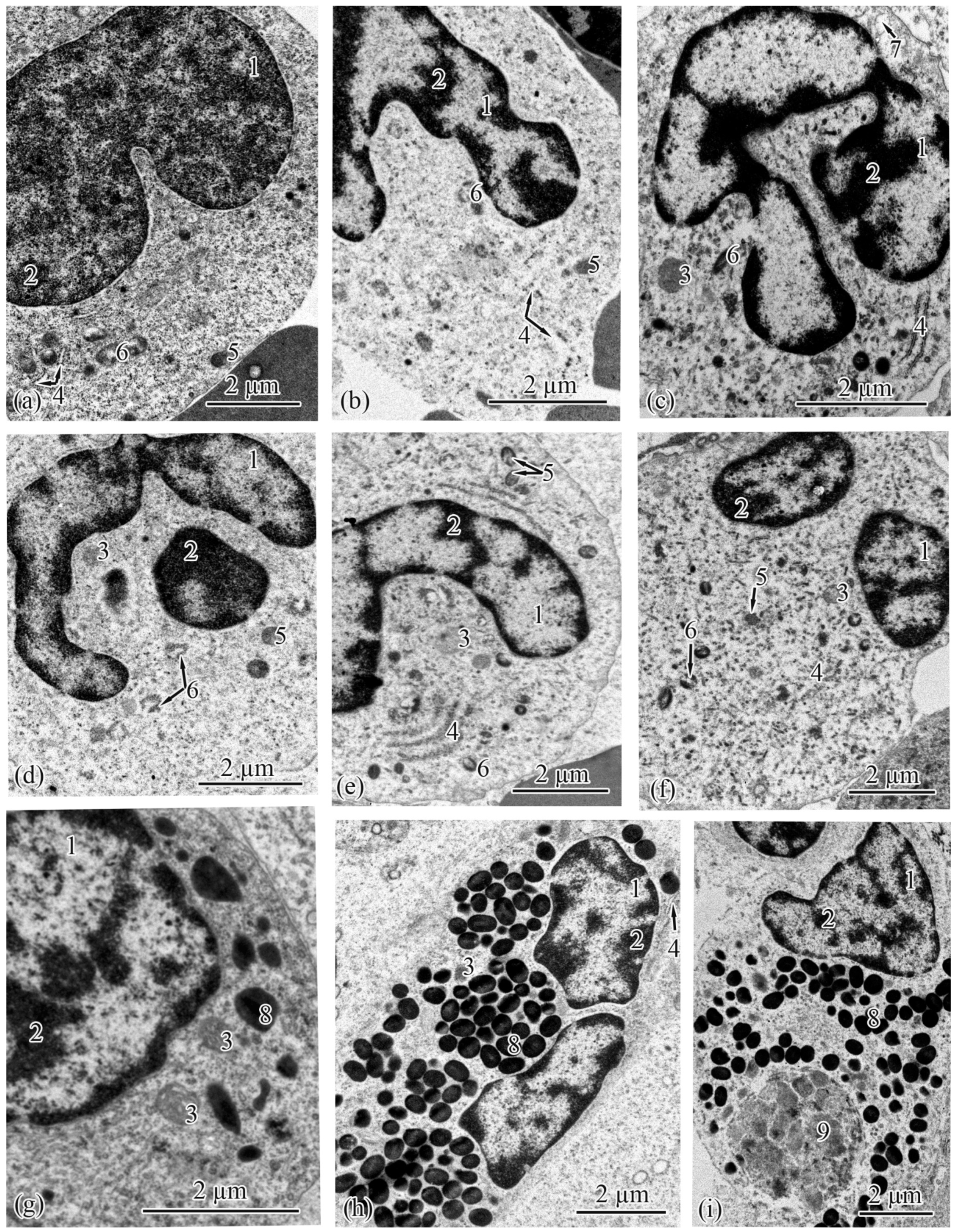 Biology 12 00750 g008 Biology 12 00750 g008