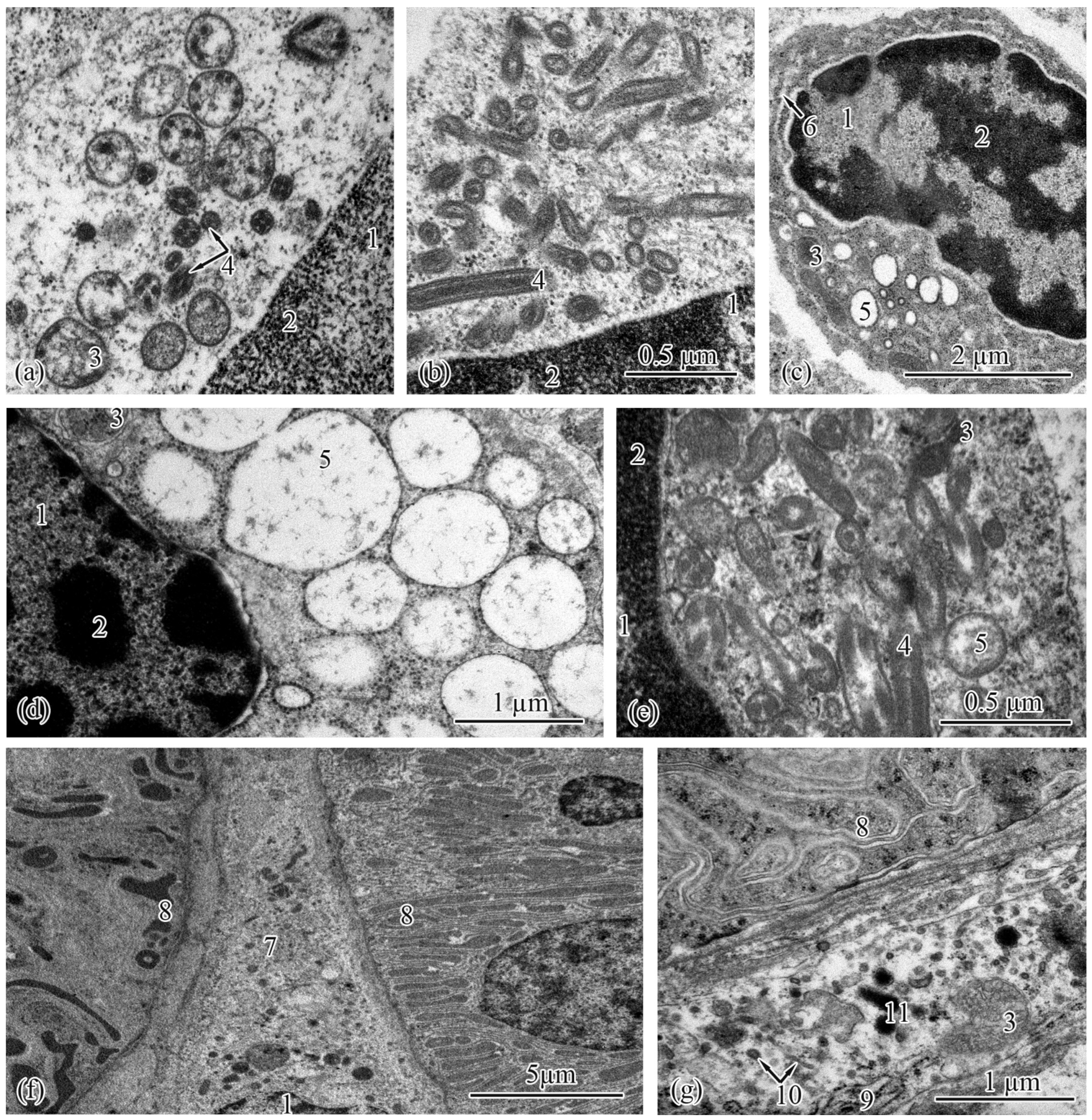 Biology 12 00750 g009 Biology 12 00750 g009