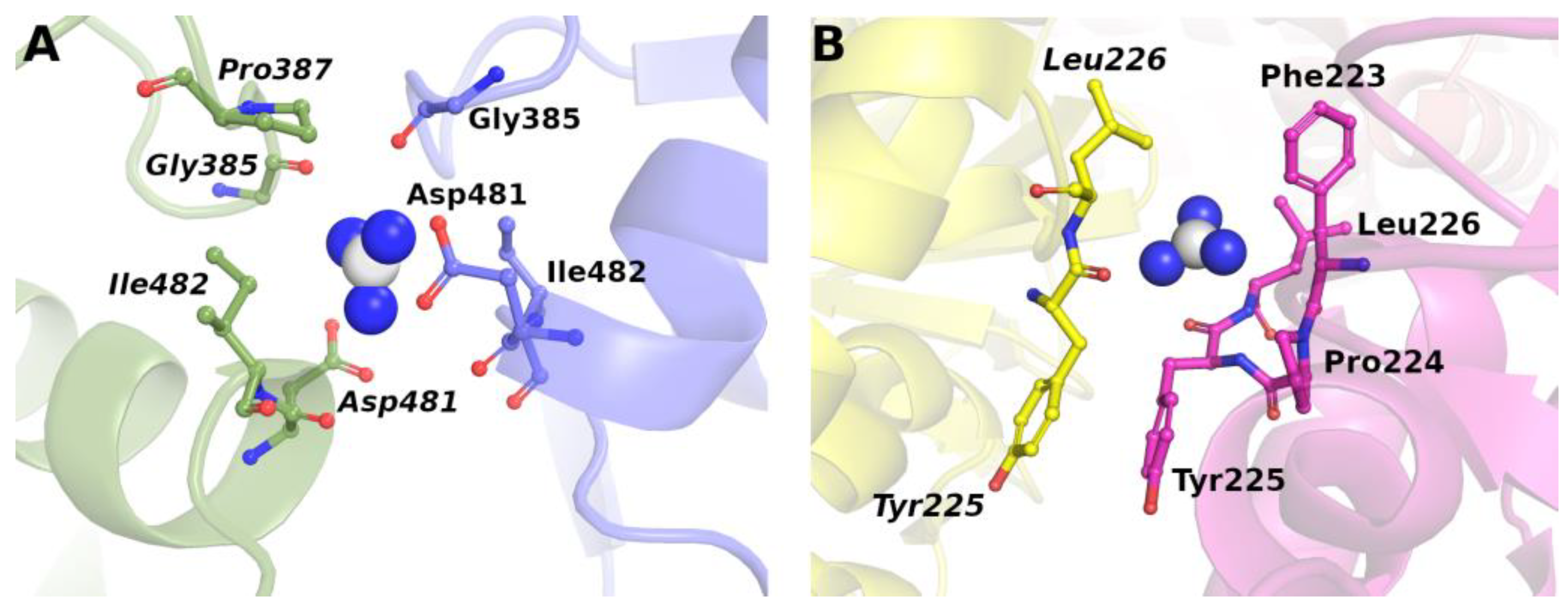 Biology 12 00754 g002 Biology 12 00754 g002