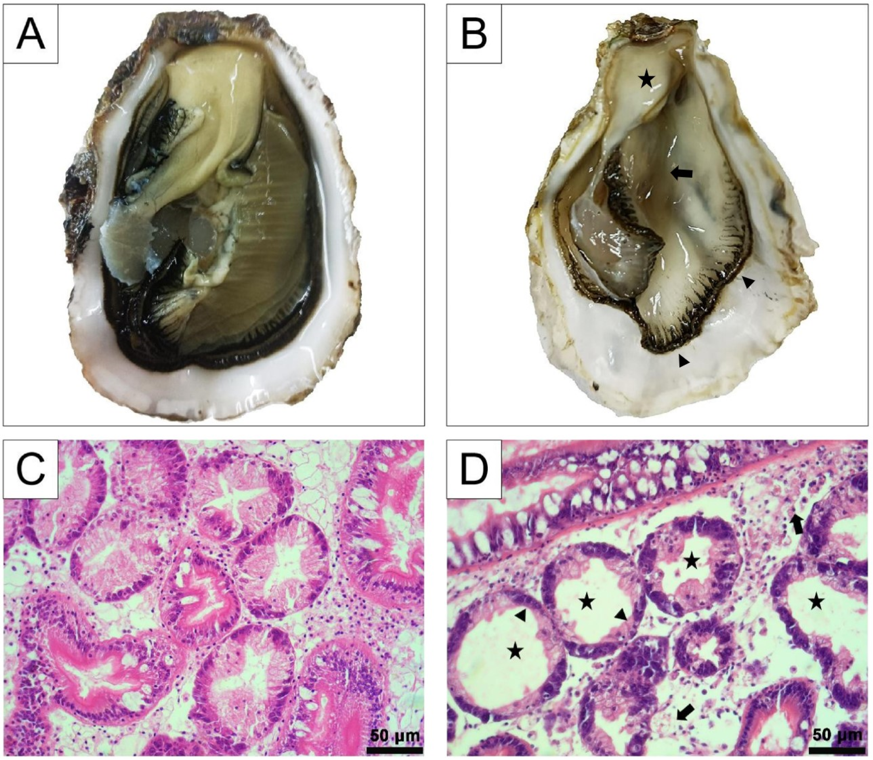 Biology 12 00759 g002 Biology 12 00759 g002