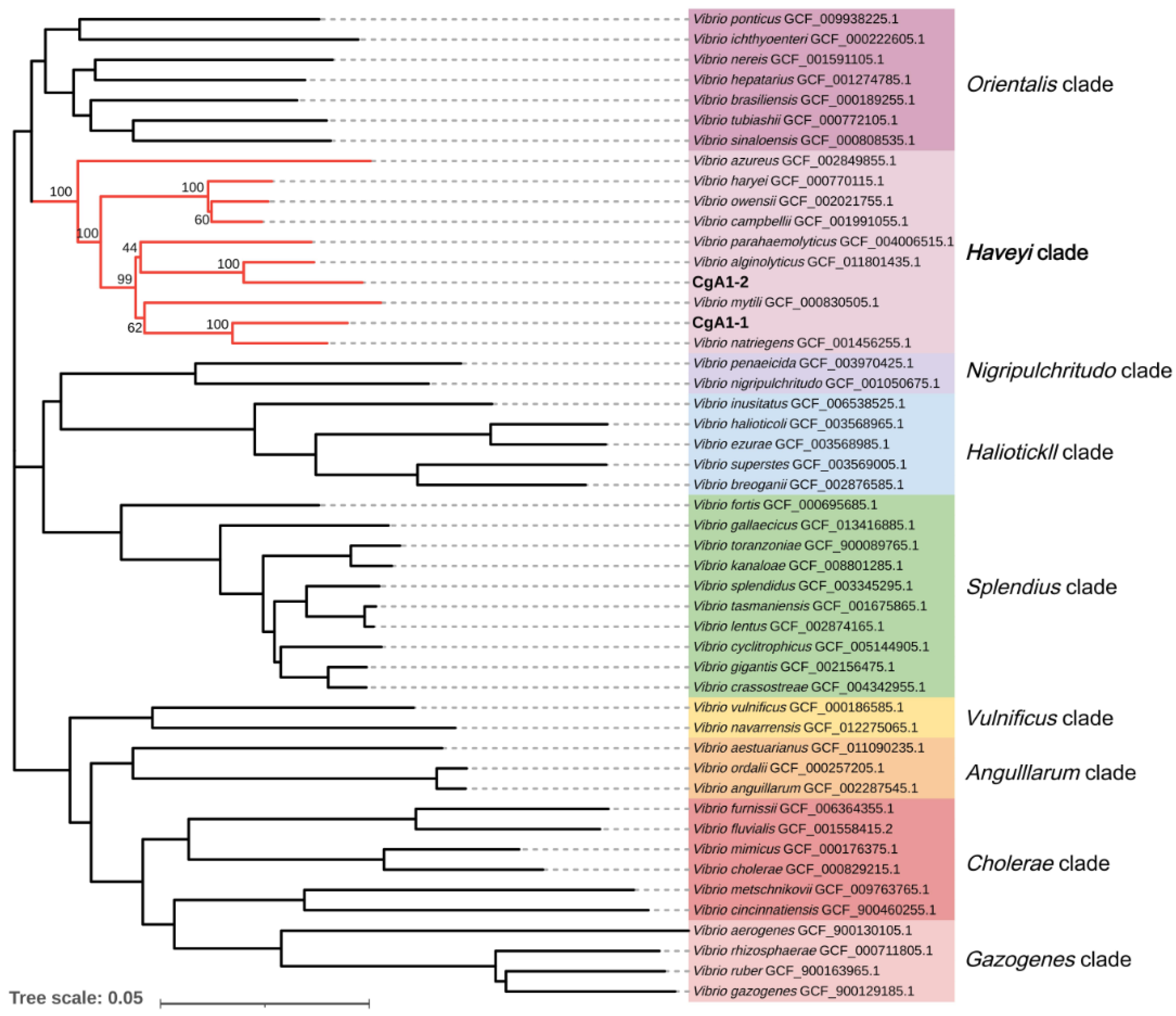 Biology 12 00759 g003 Biology 12 00759 g003