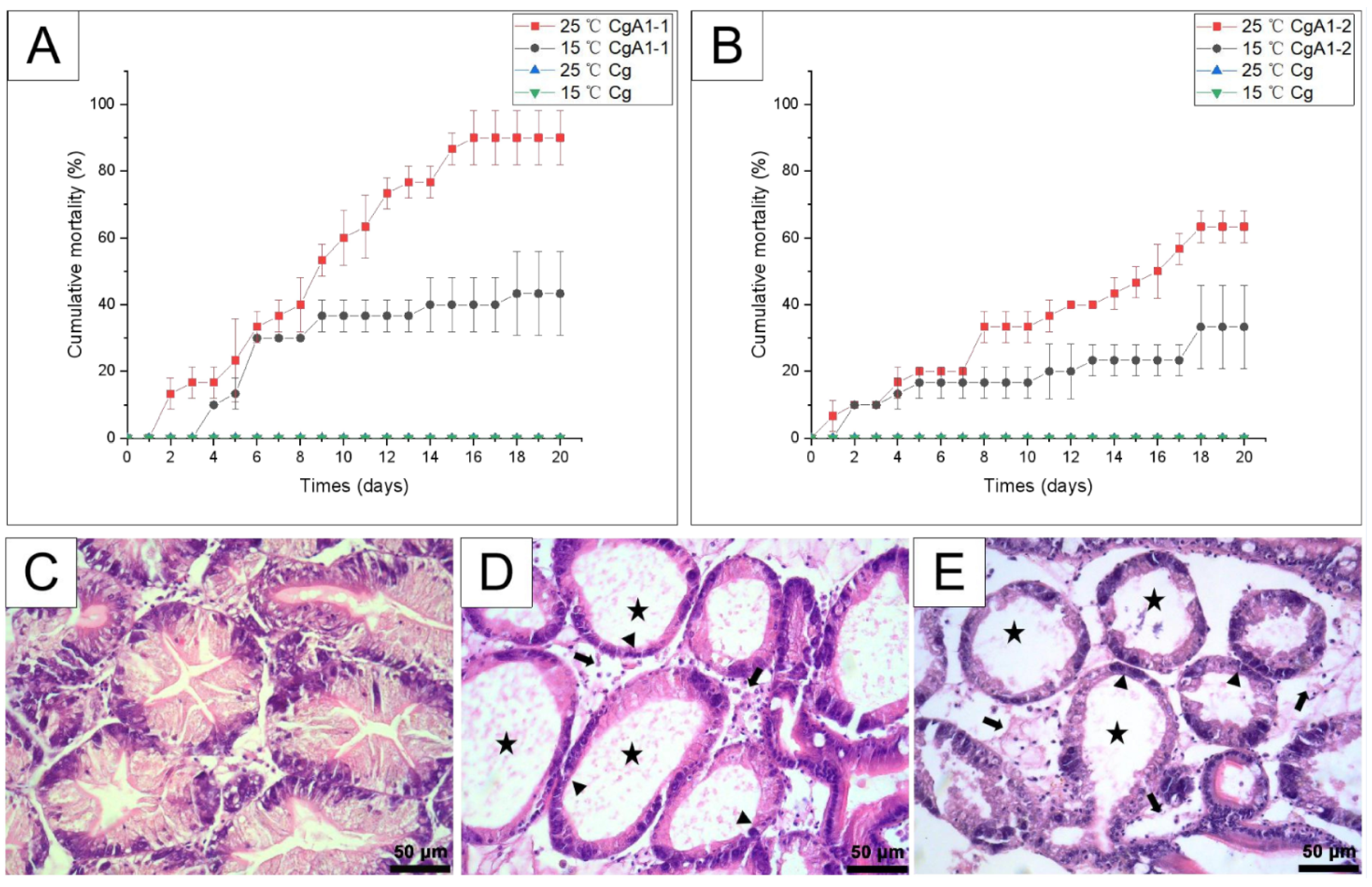 Biology 12 00759 g006 Biology 12 00759 g006