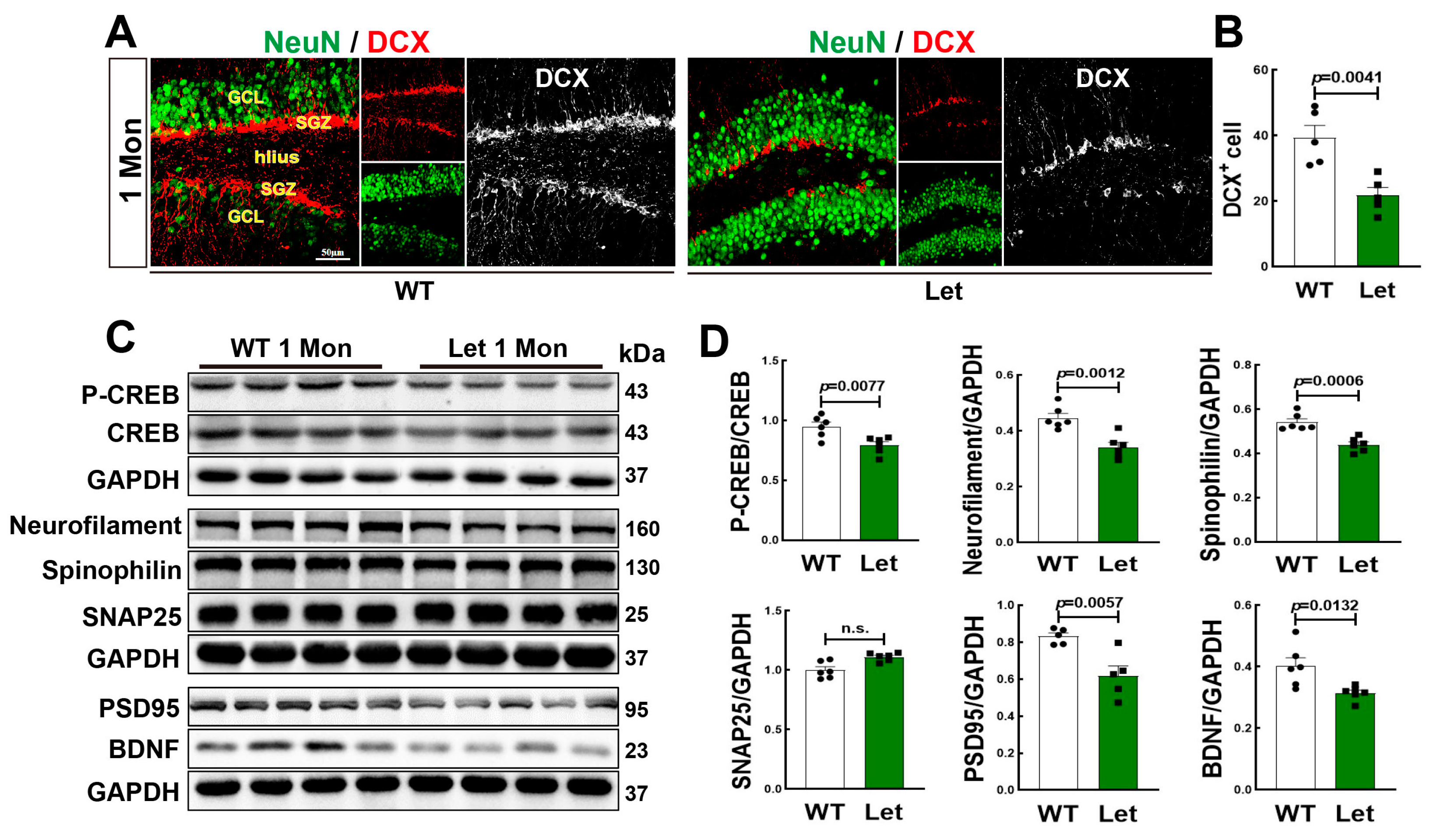 Biology 12 00760 g004 Biology 12 00760 g004