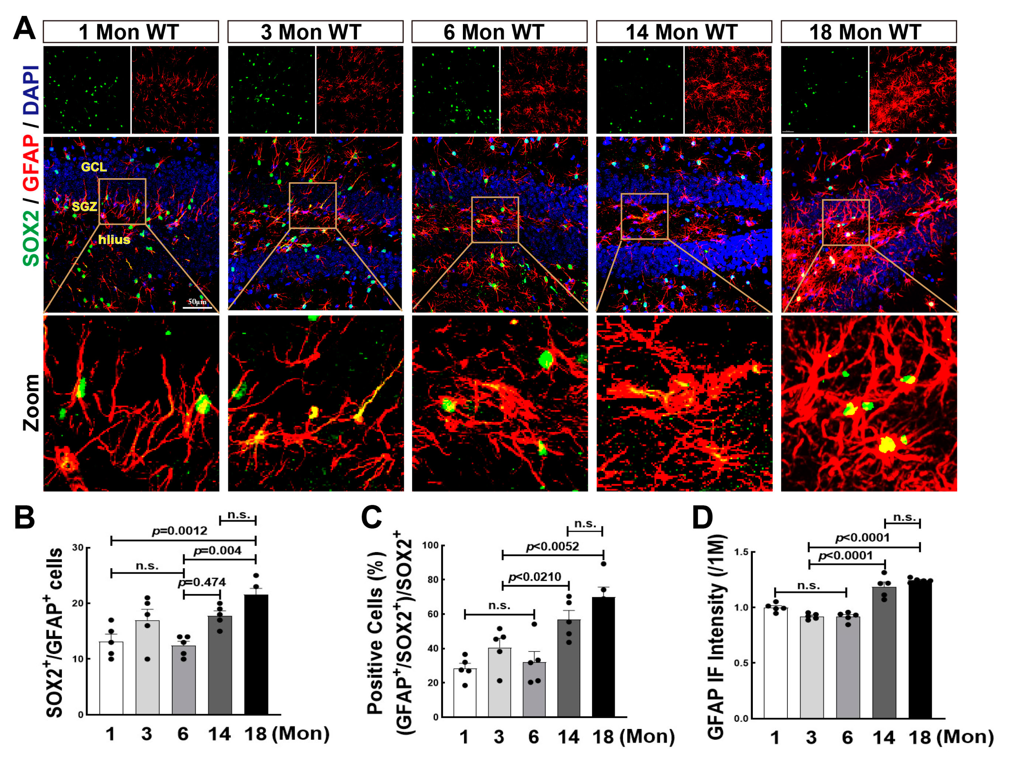 Biology 12 00760 g005 Biology 12 00760 g005