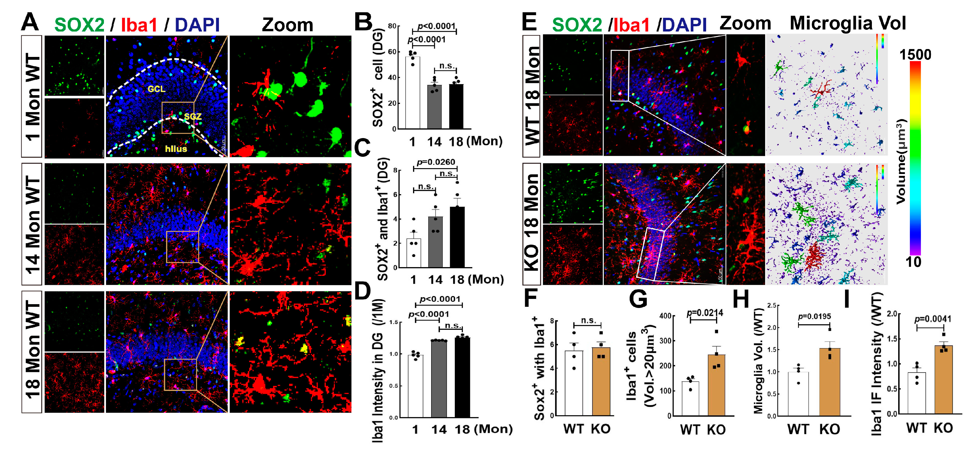 Biology 12 00760 g007 Biology 12 00760 g007
