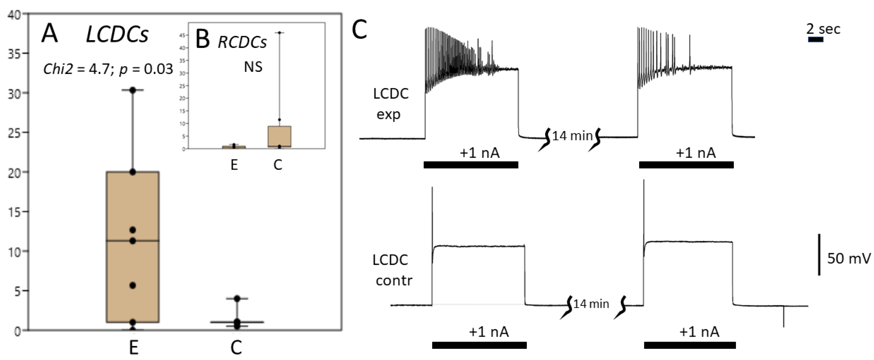 Biology 12 00764 g006 Biology 12 00764 g006