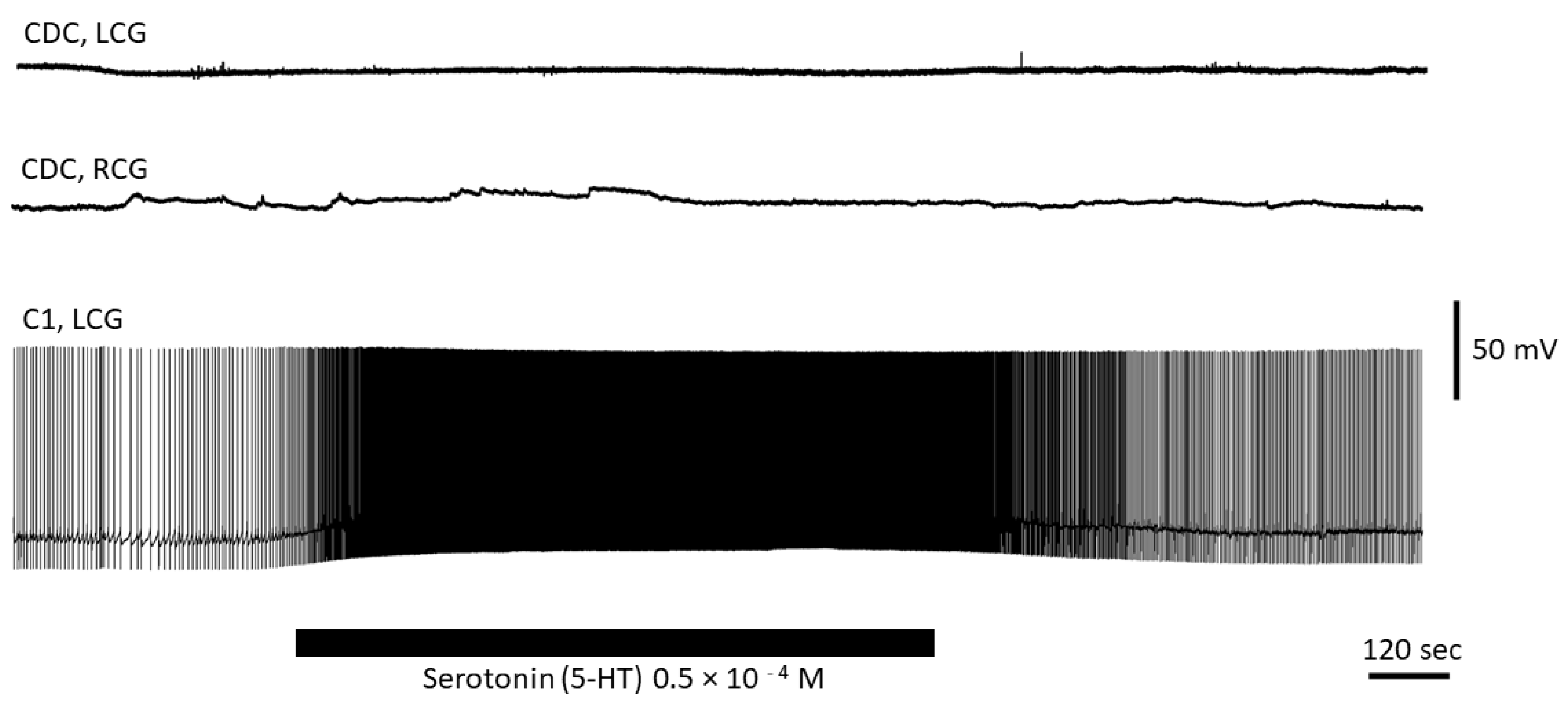 Biology 12 00764 g007 Biology 12 00764 g007