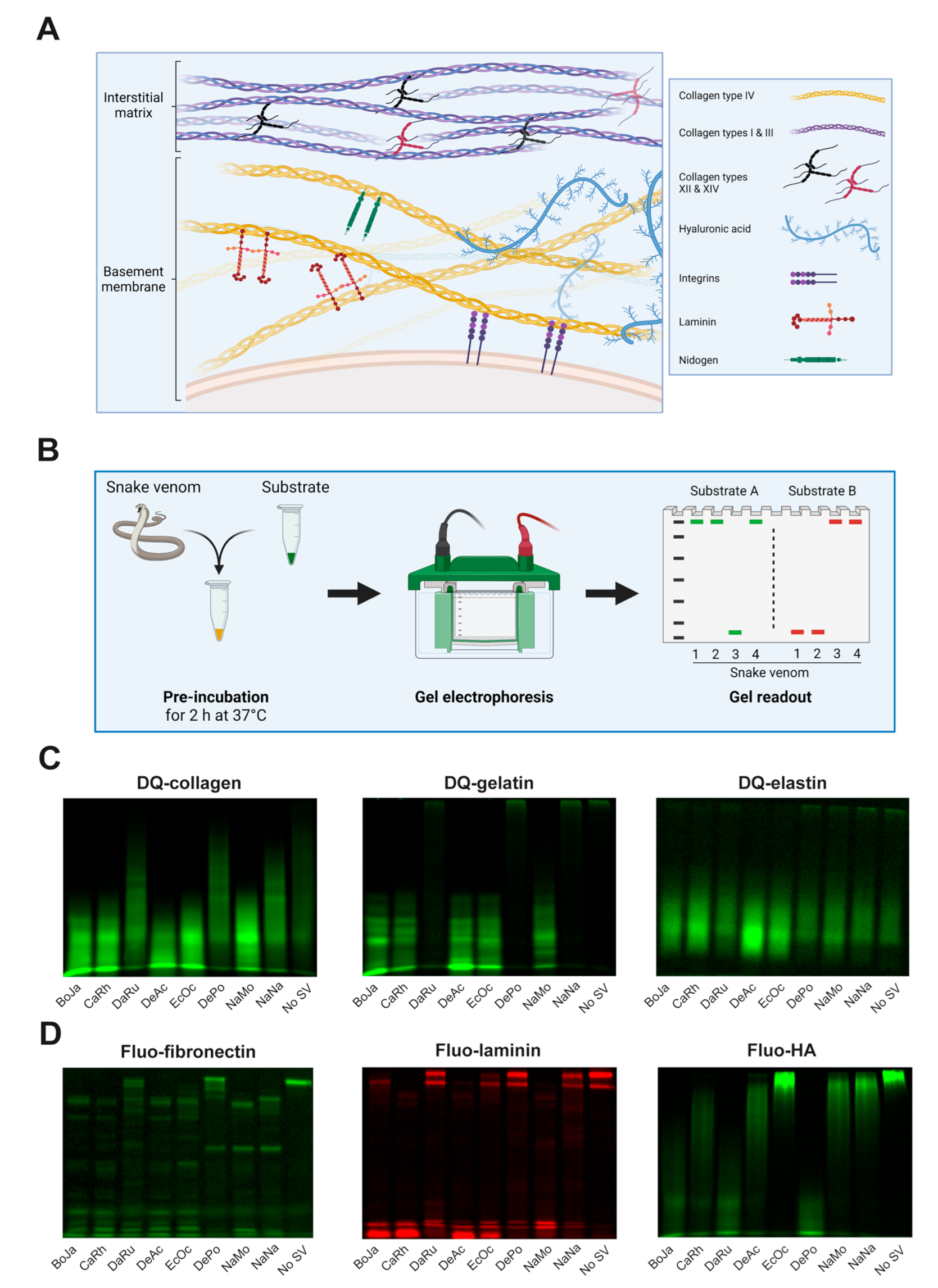Biology 12 00765 g001 Biology 12 00765 g001