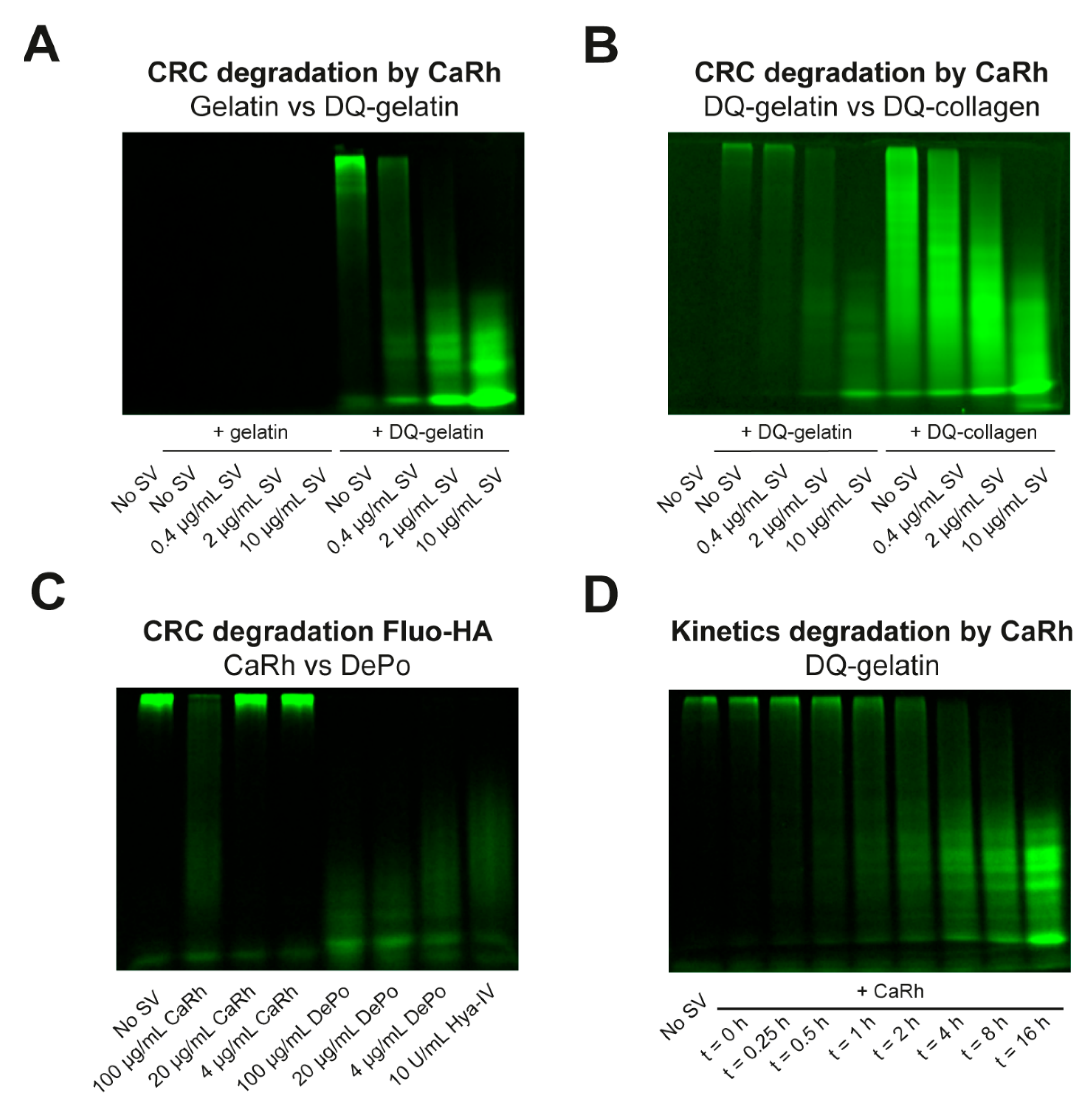 Biology 12 00765 g002 Biology 12 00765 g002