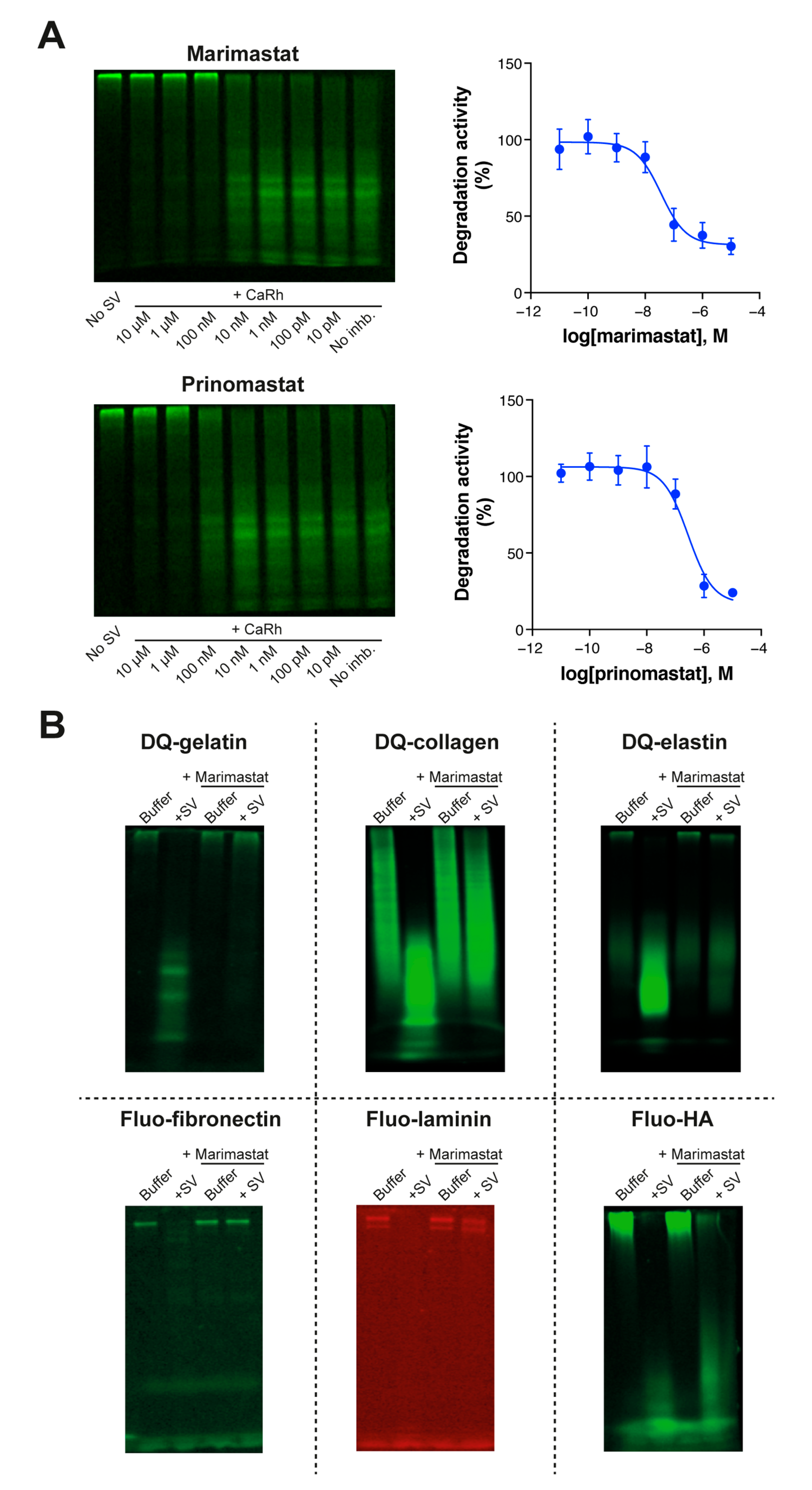 Biology 12 00765 g003 Biology 12 00765 g003