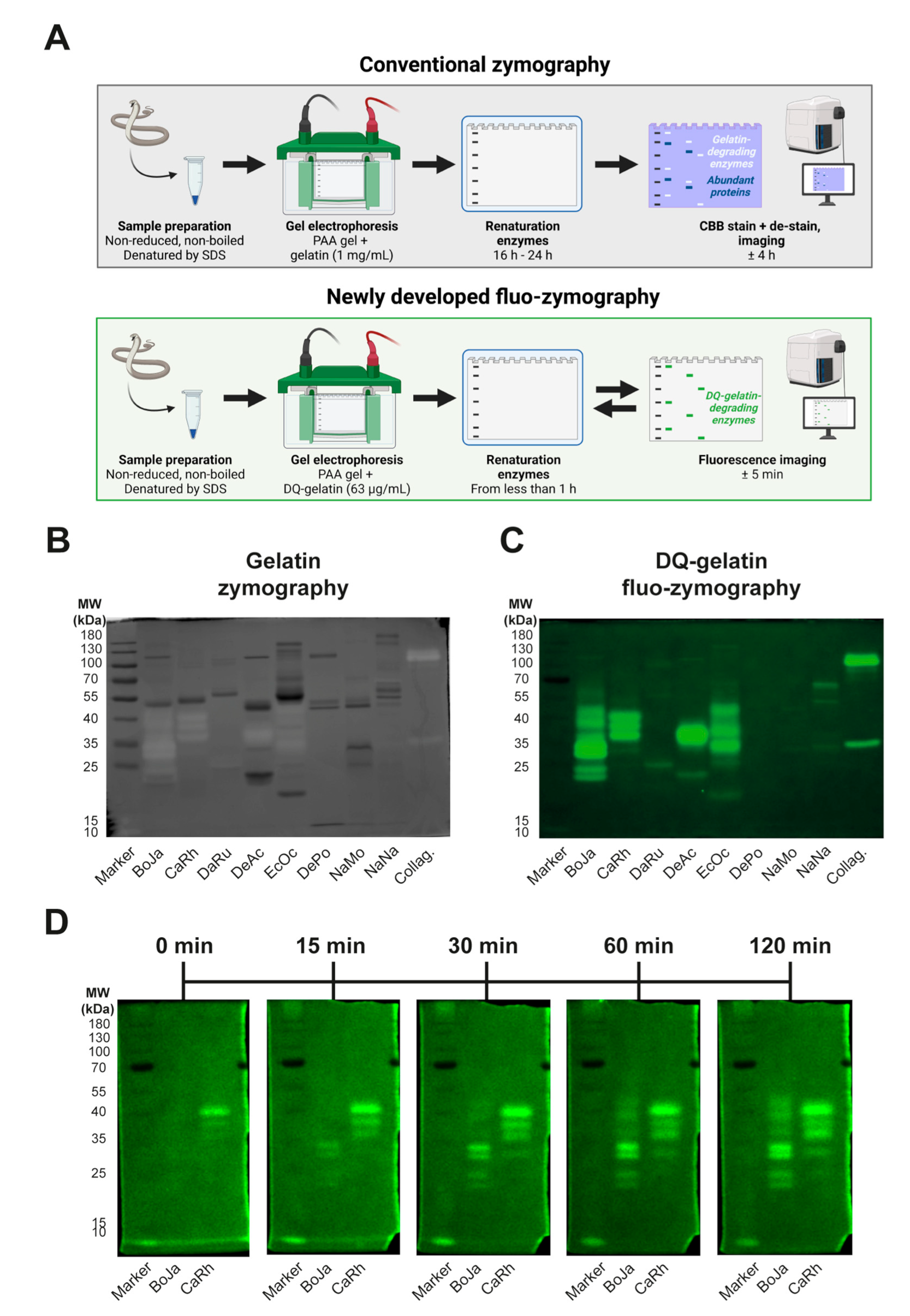 Biology 12 00765 g004 Biology 12 00765 g004