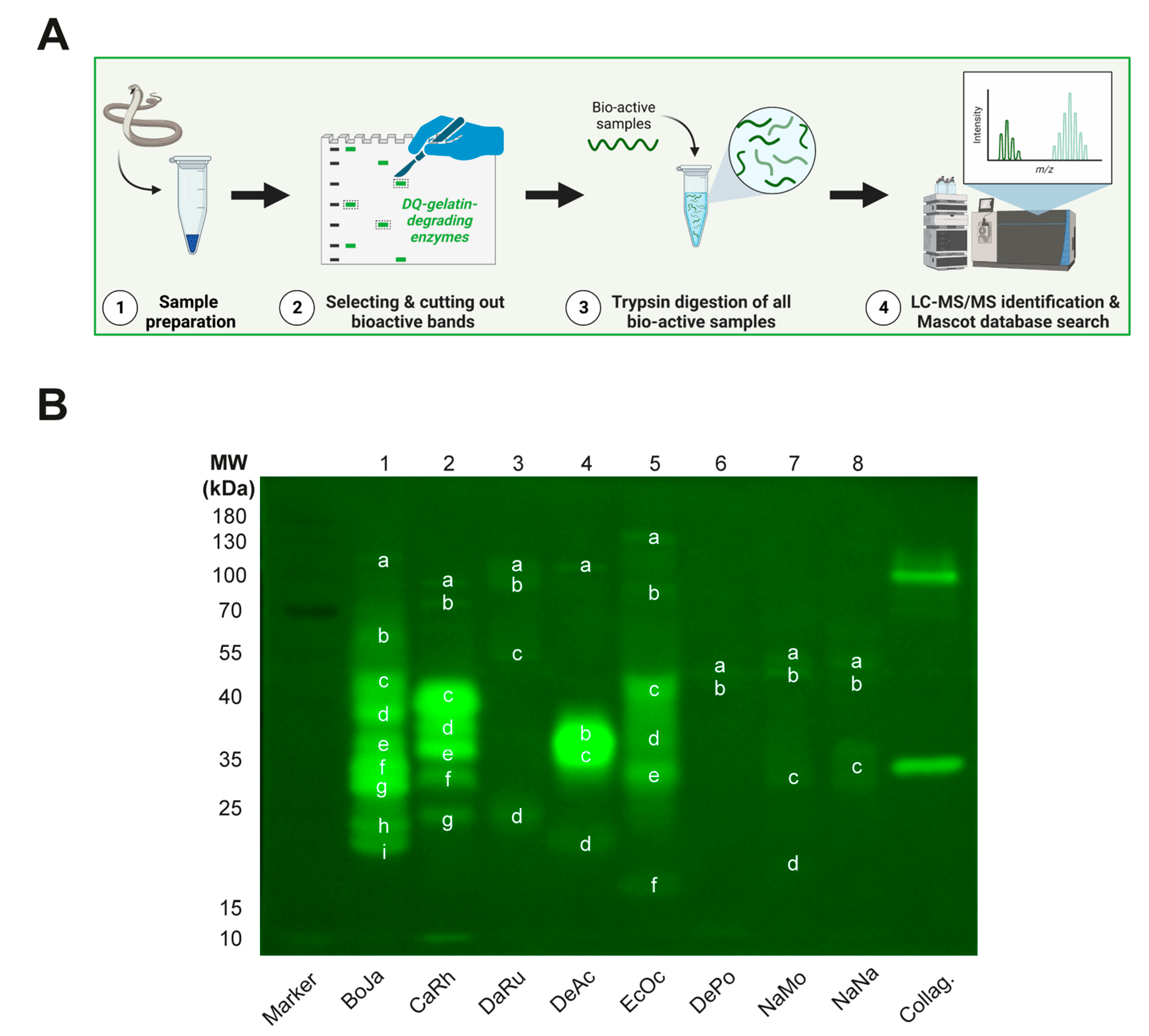 Biology 12 00765 g005 Biology 12 00765 g005