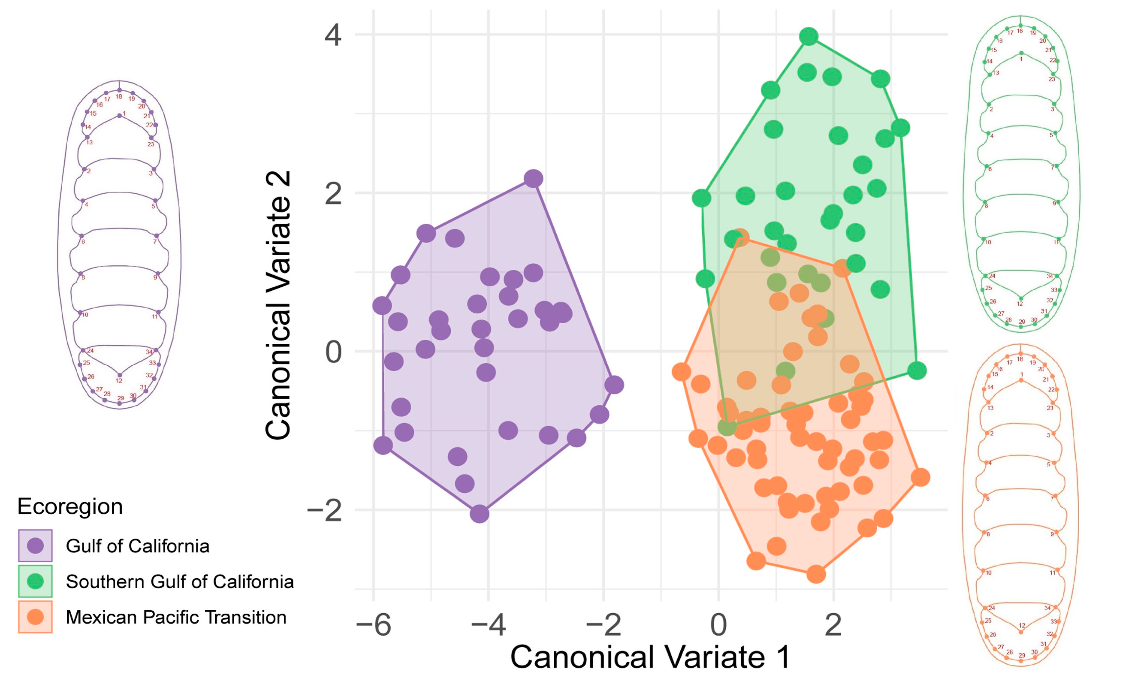 Biology 12 00766 g002