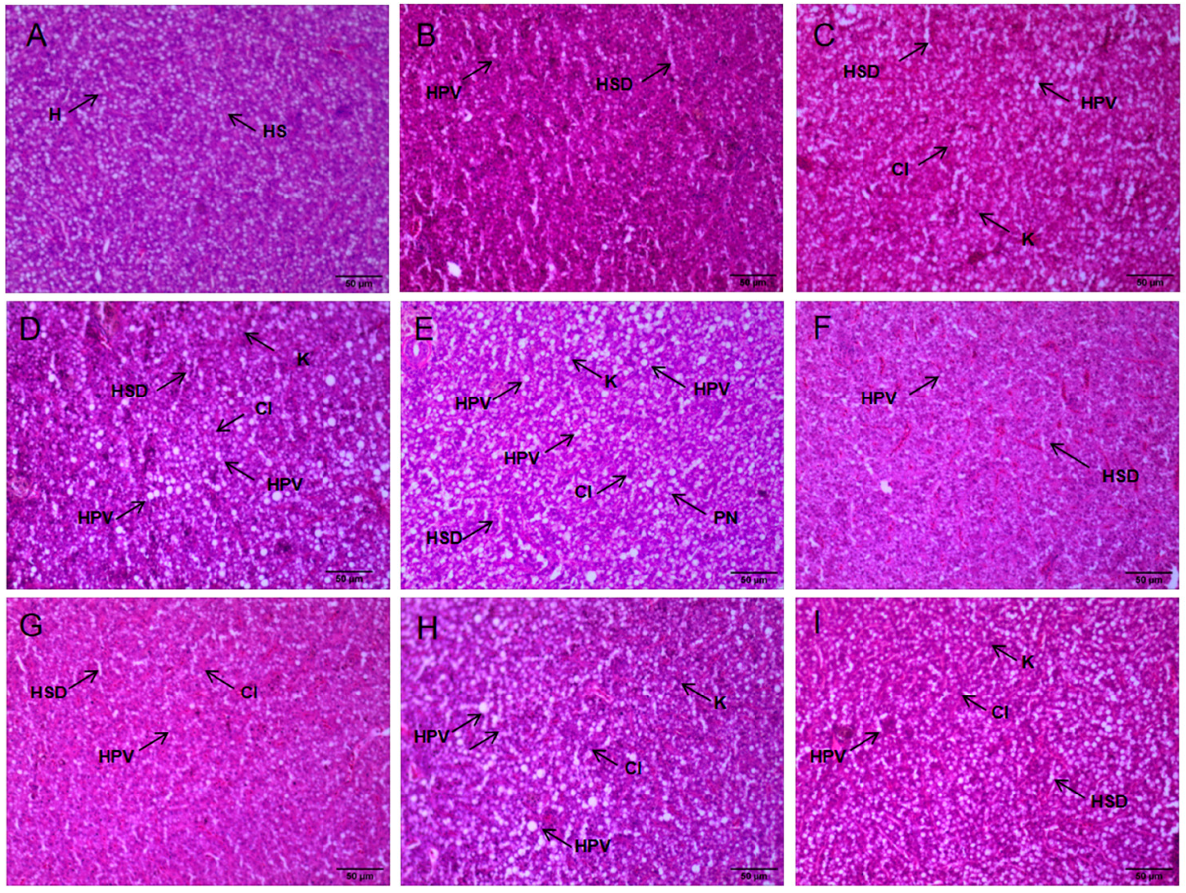 Biology 12 00769 g004
