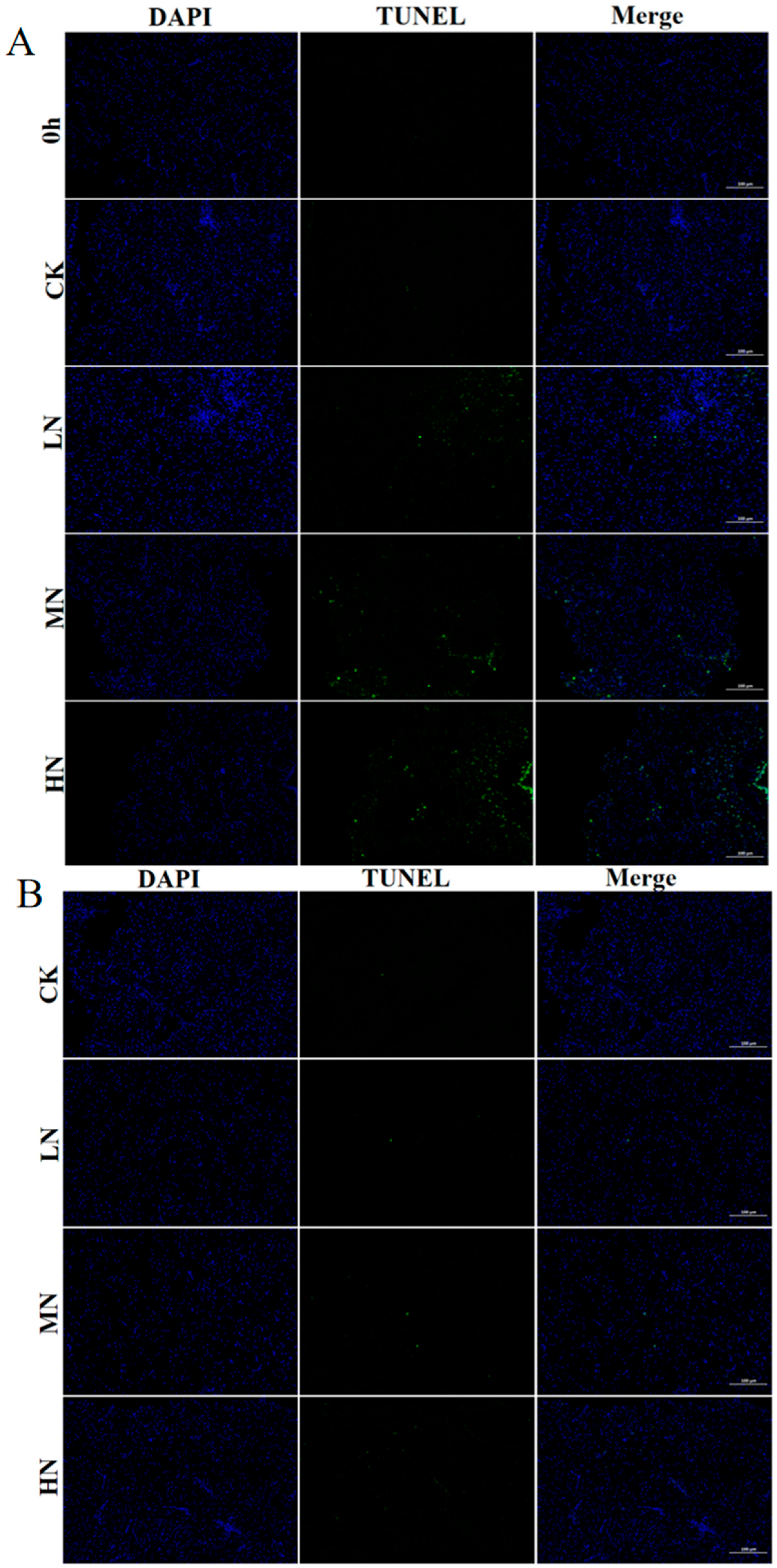 Biology 12 00769 g006