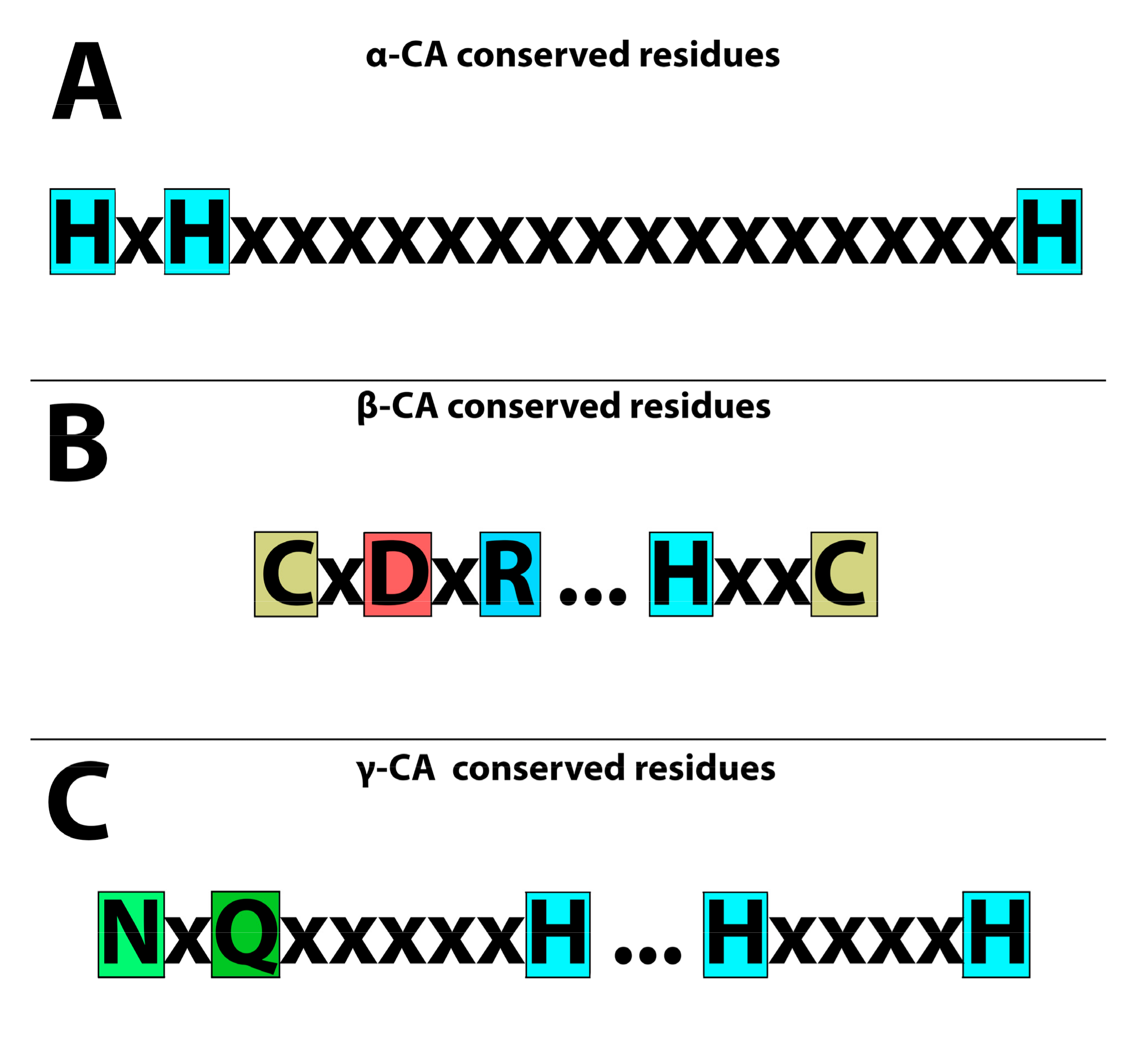 Biology 12 00770 g001 Biology 12 00770 g001