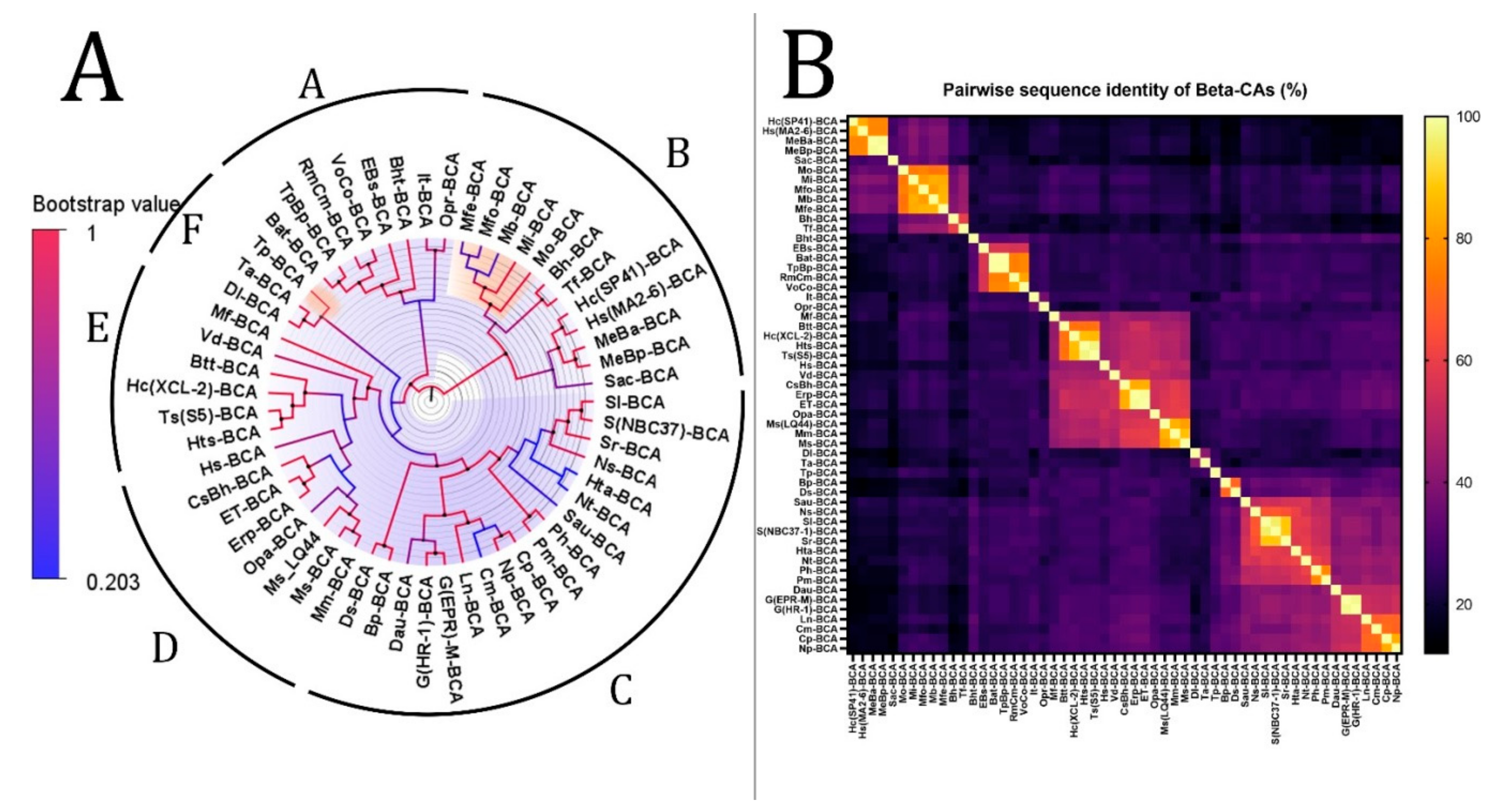 Biology 12 00770 g003 Biology 12 00770 g003