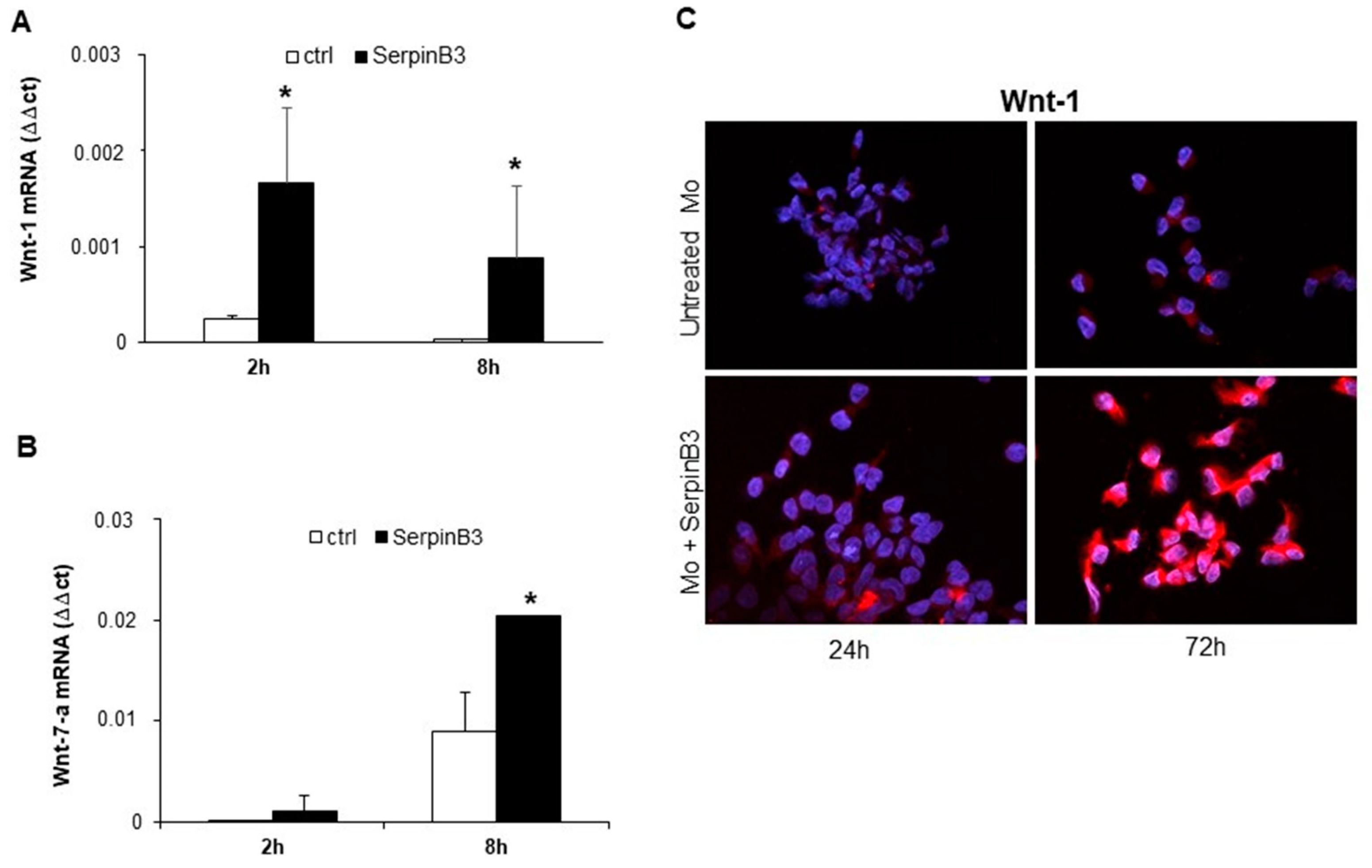 Biology 12 00771 g002 Biology 12 00771 g002