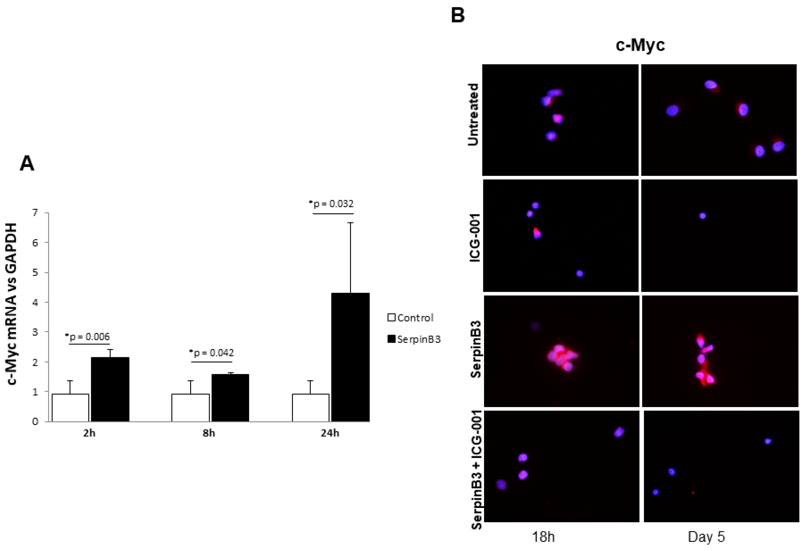 Biology 12 00771 g004 Biology 12 00771 g004