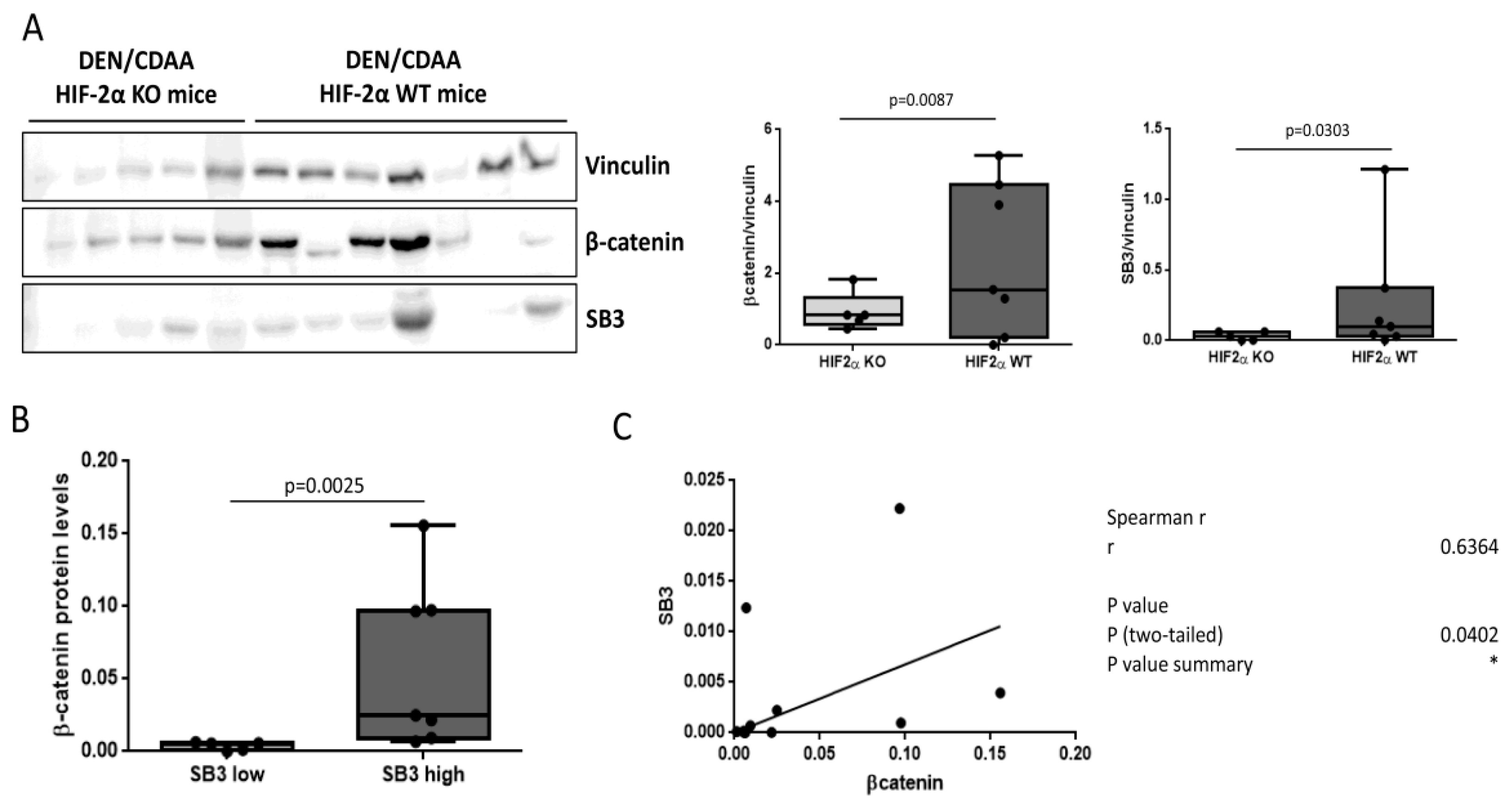 Biology 12 00771 g005 Biology 12 00771 g005